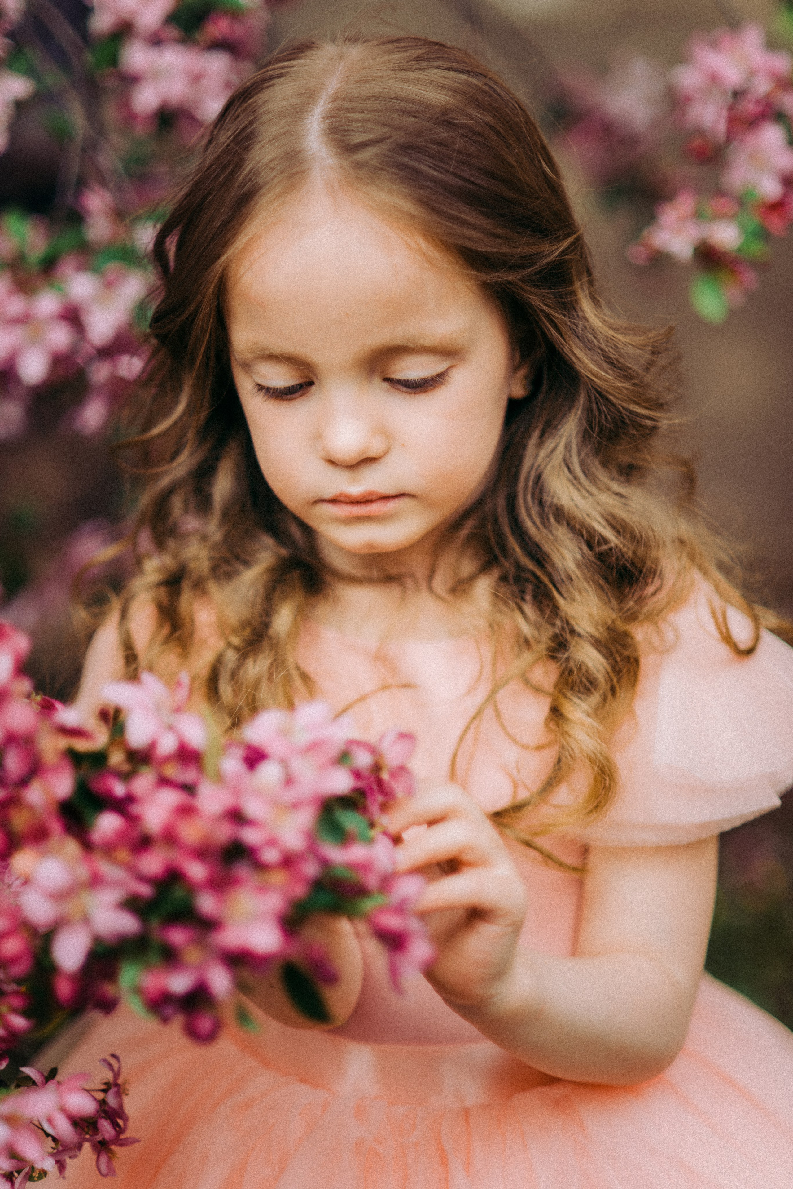 Цветение. Фотограф Юлия Попова