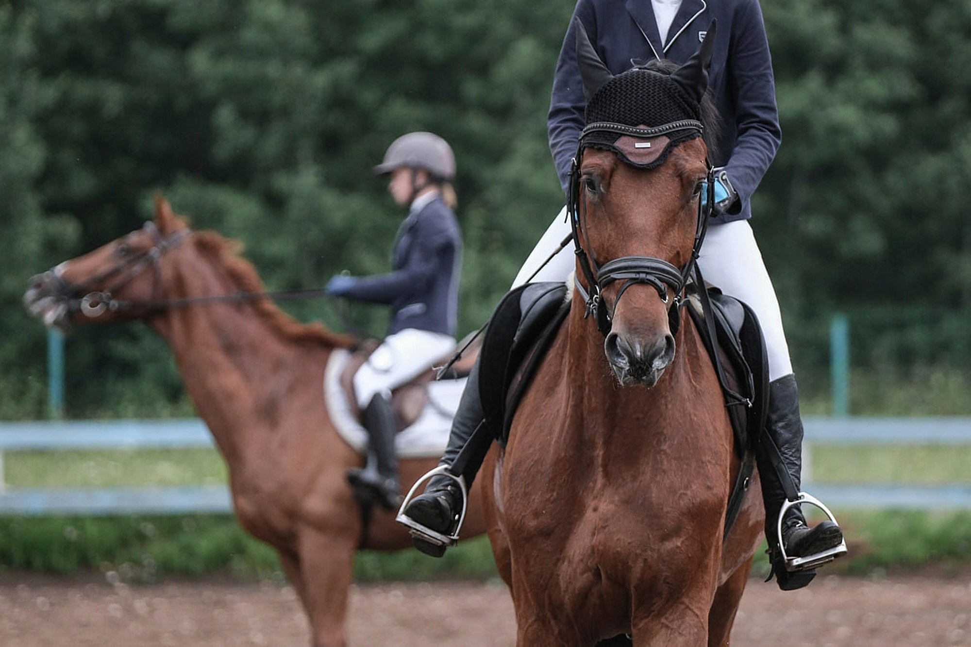 Никита Гольцов фотограф; Репортажный фотограф в Томске; Конный спорт; 