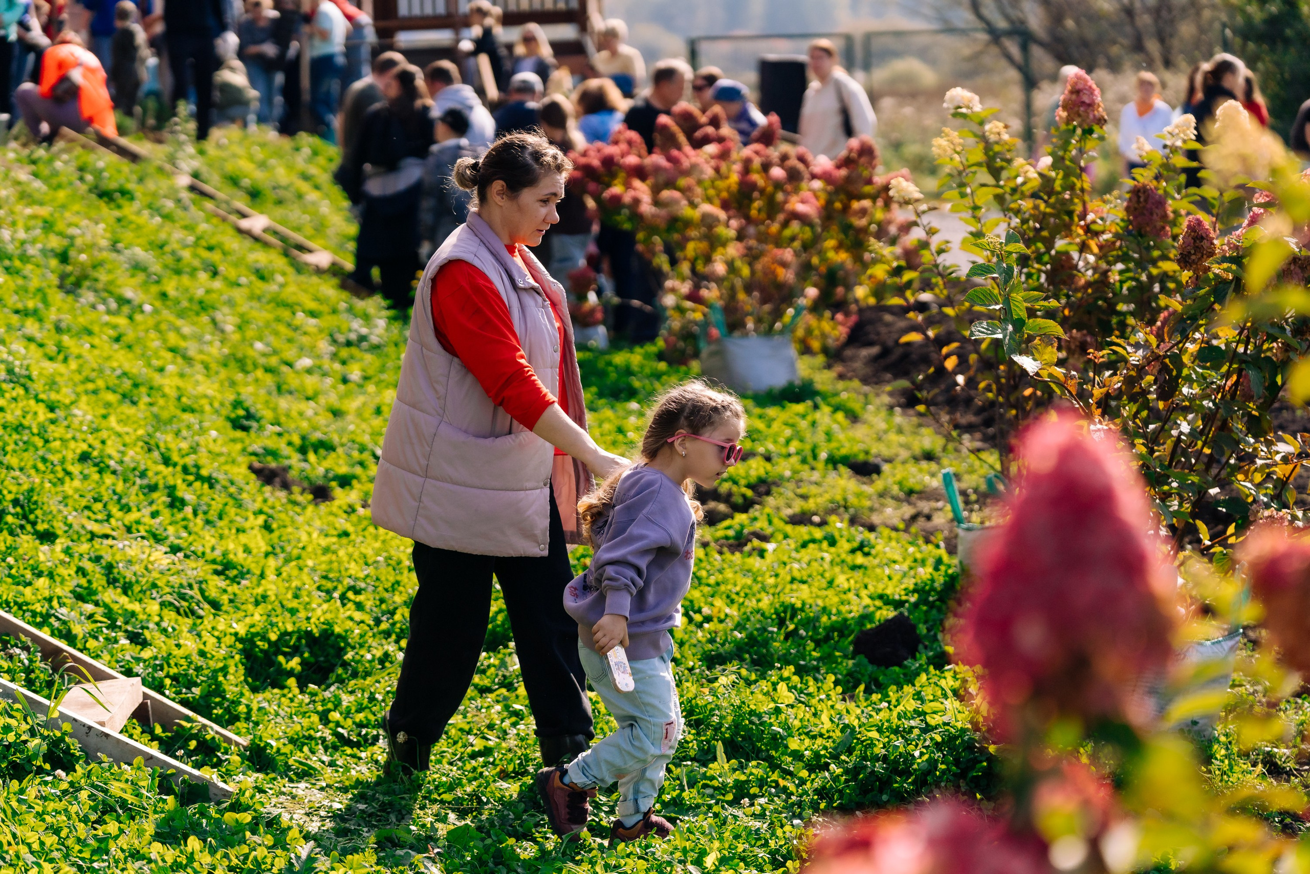 Дневные события. Geometria