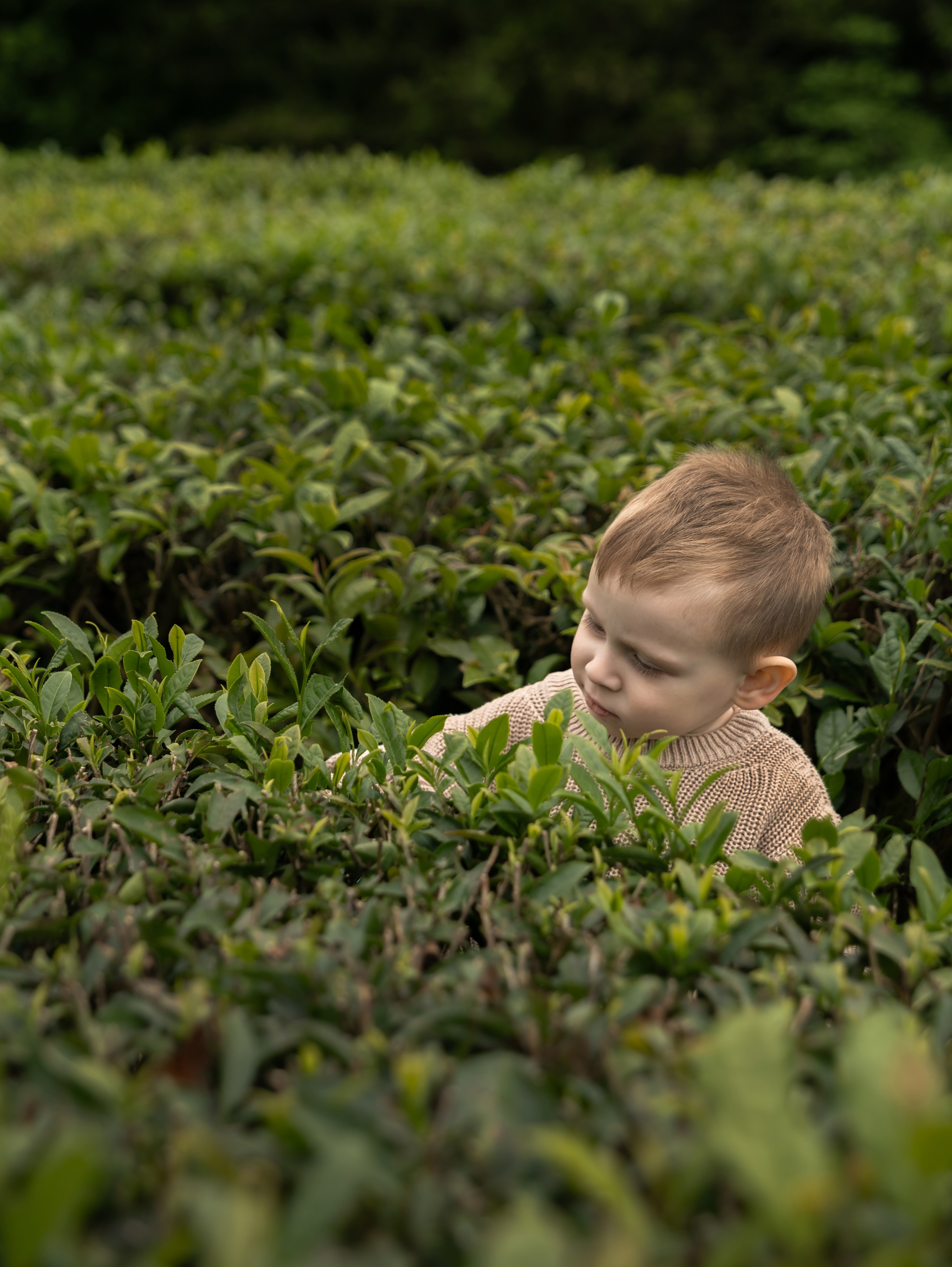 Семейные фотосессии. Фотограф Сочи