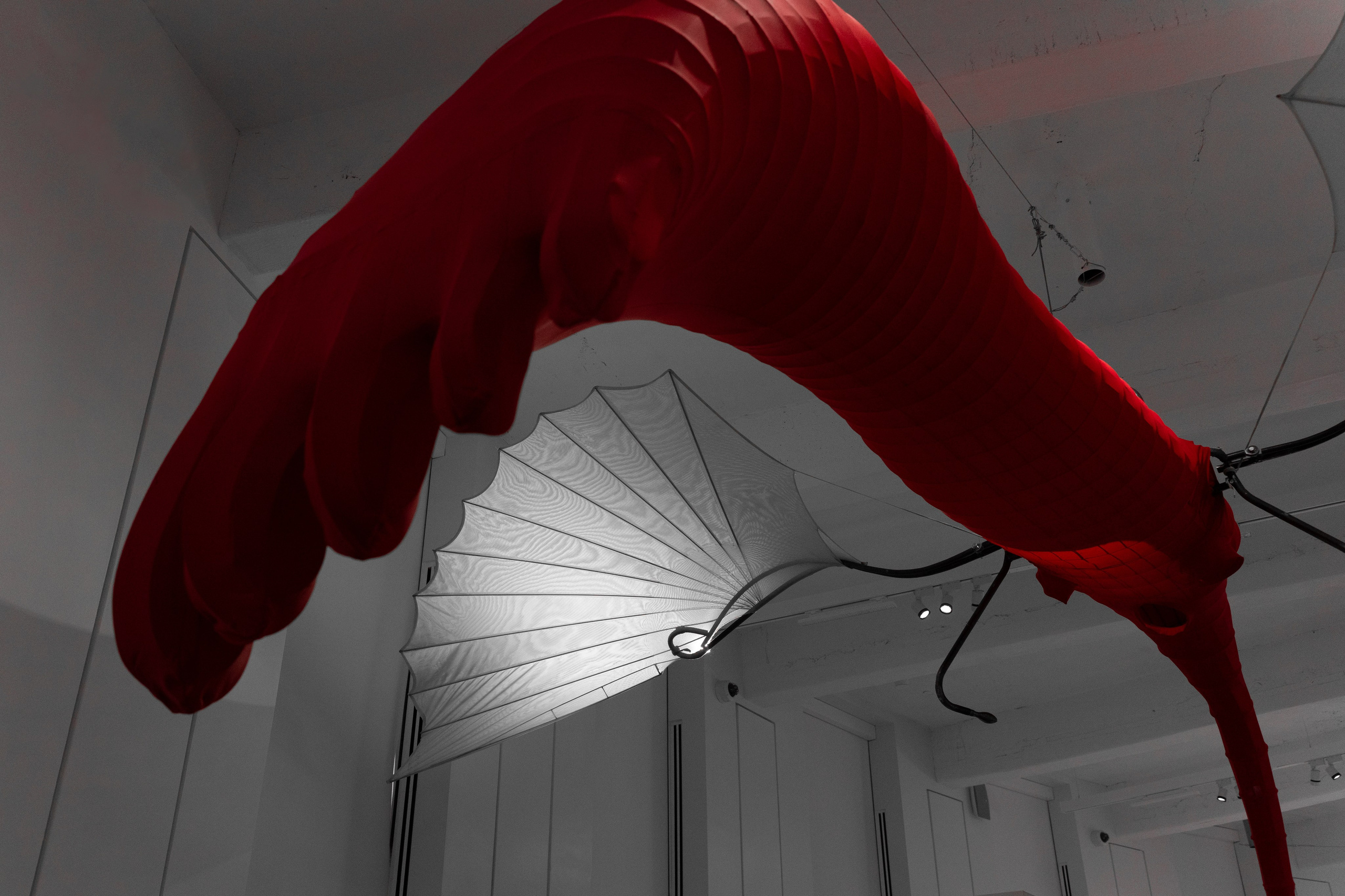 Выставка в Зотов Центре: «Русское невероятное». Фотограф в Москве. Шахабудин