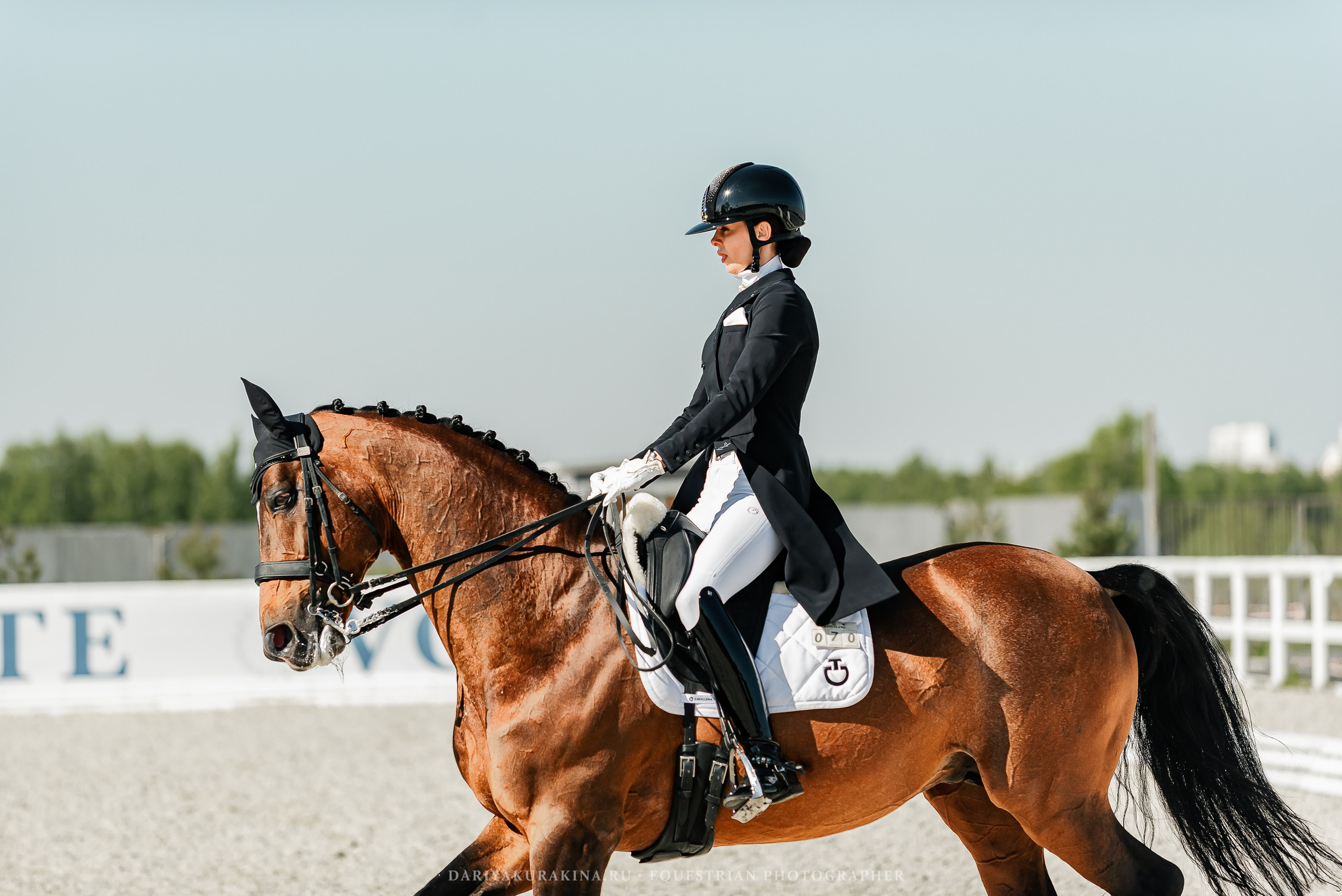 РЕПОРТАЖ МКК ВОЛЬТ «LA TULIPS». Конный фотограф Куракина Дарья • Фотосессии с лошадьми