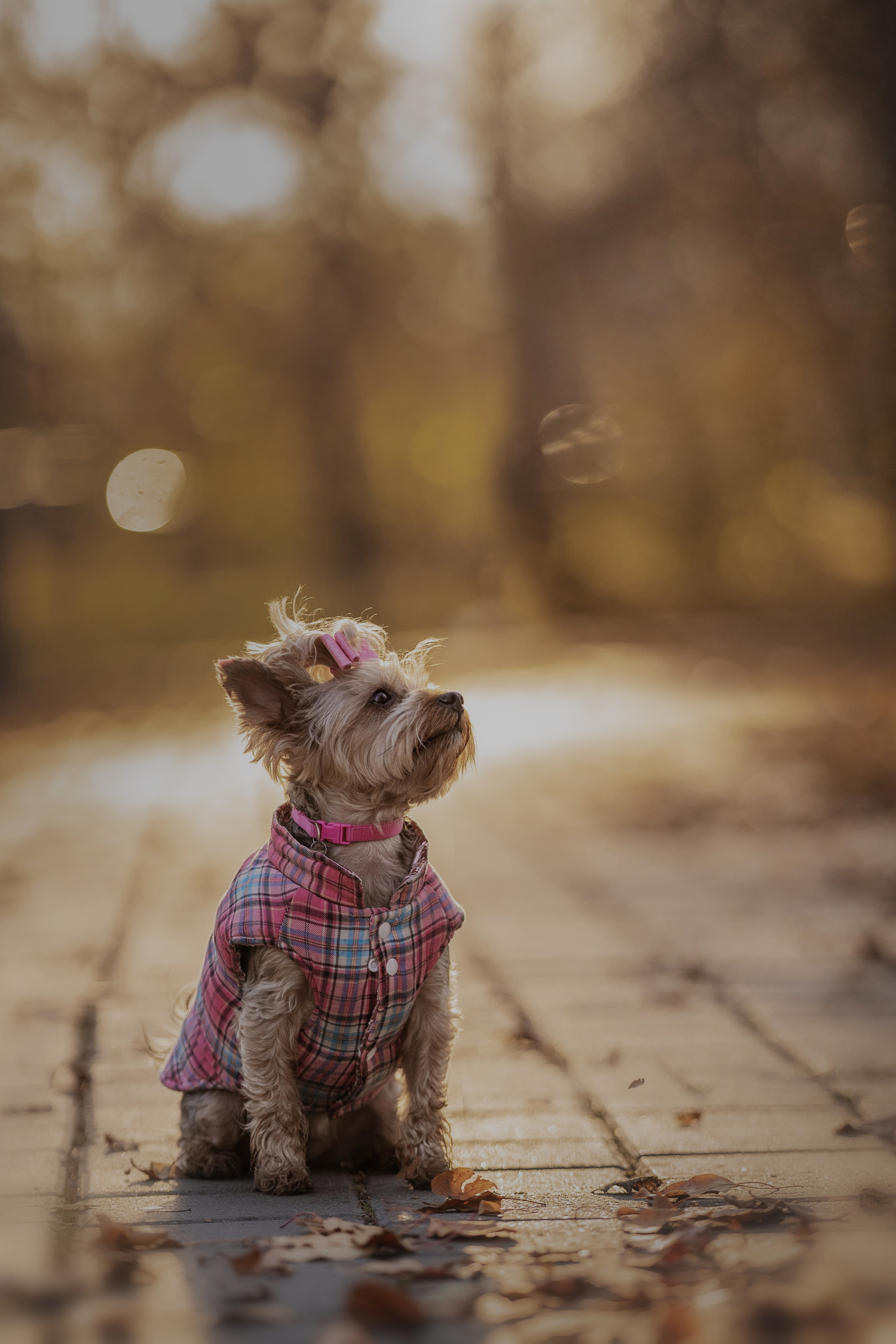 Мария + Роксана (история дружбы). Kameramotor74