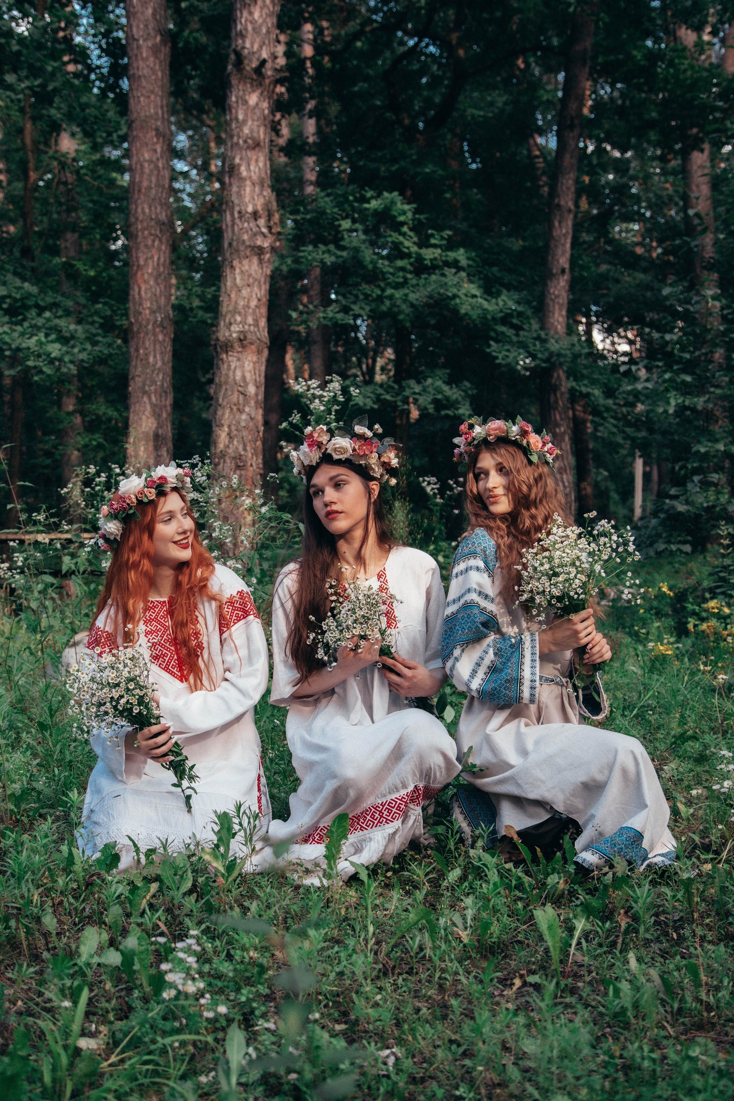 Волшебный лес. Фотограф Михайлова Анастасия | Белгород