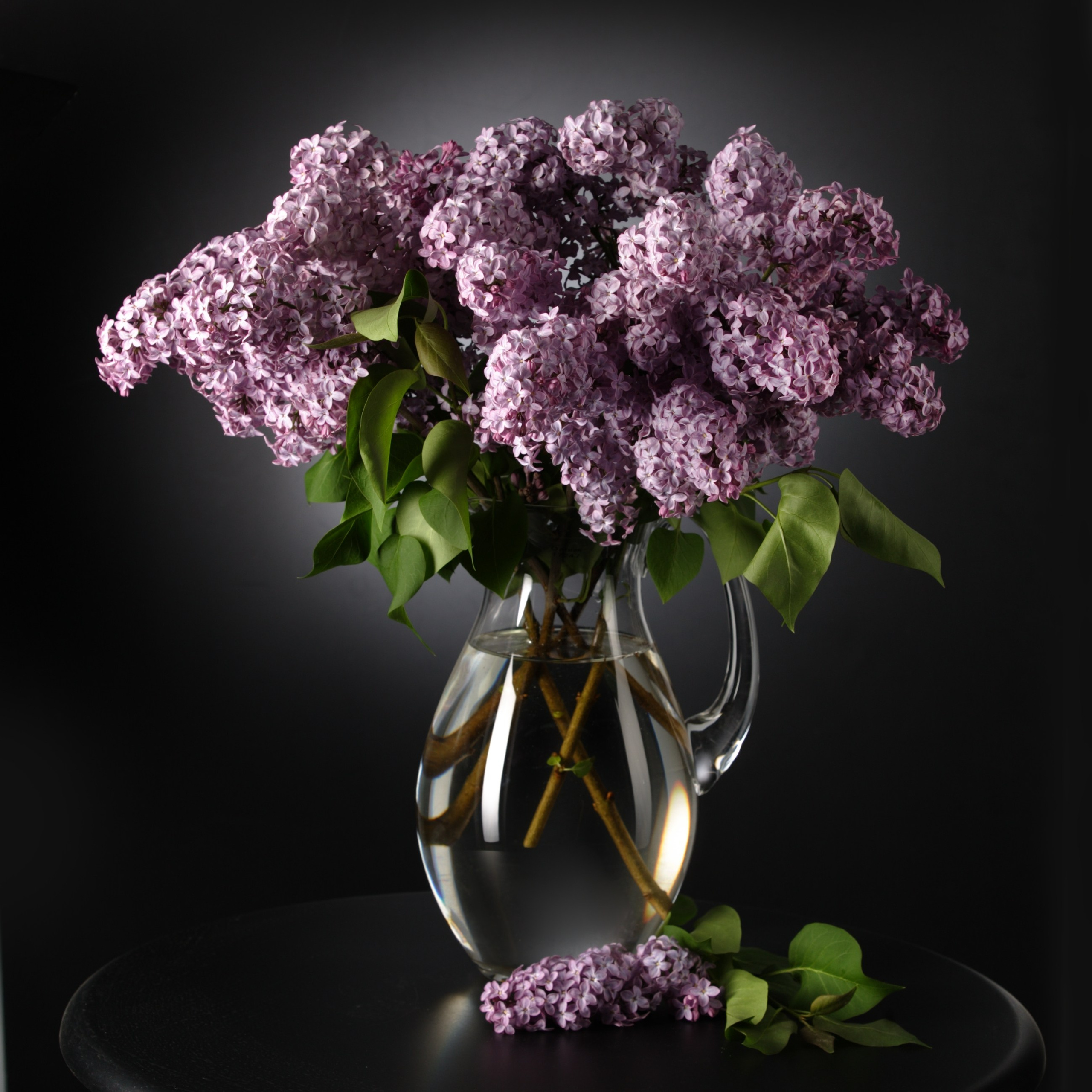 Цветы. Фотограф Мария Кольцова