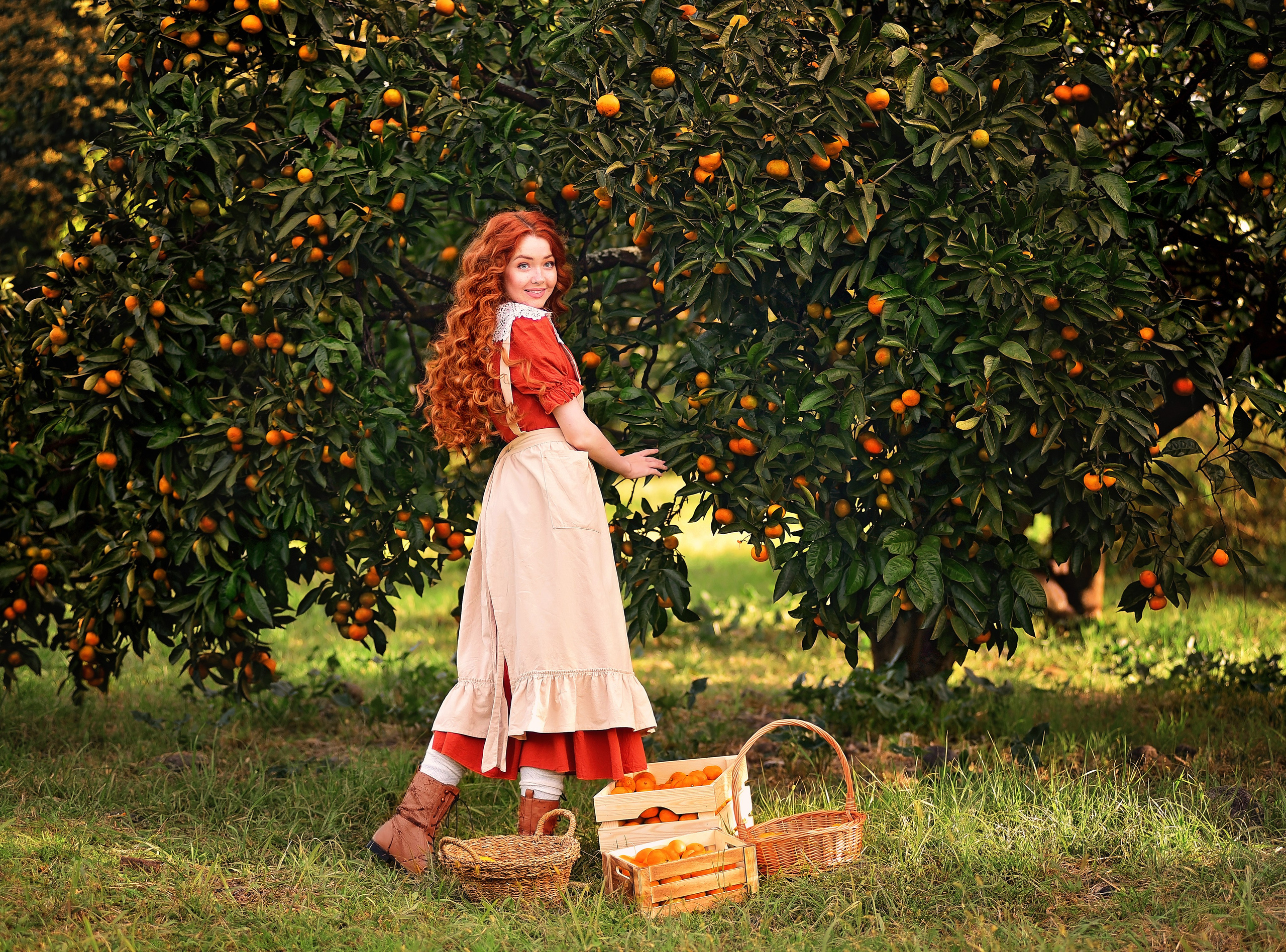 Мандарины. Главная