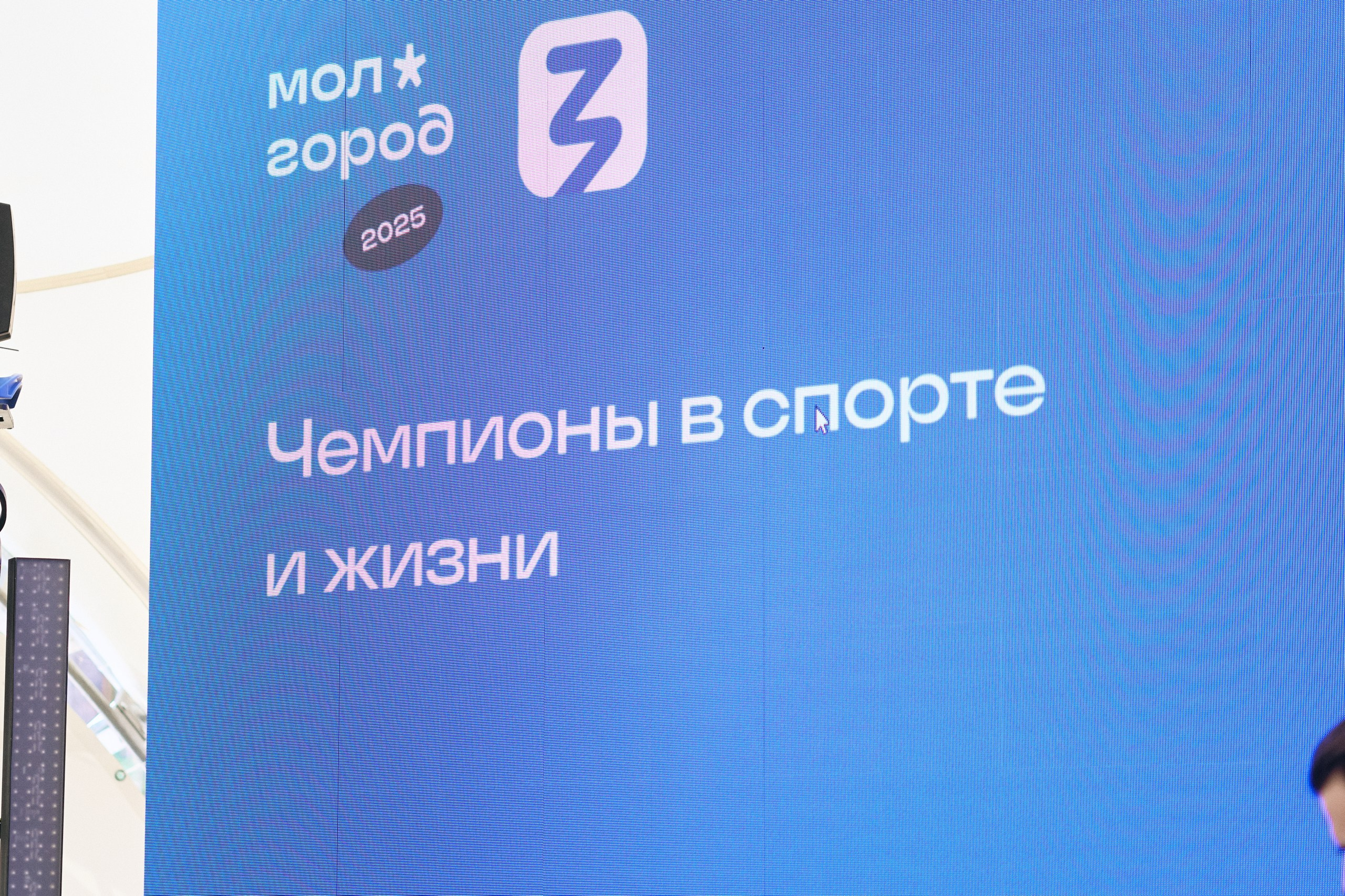 Молгород 2025 Смена 2. Свадебный и репортажный фотограф Дмитрий Кононенко