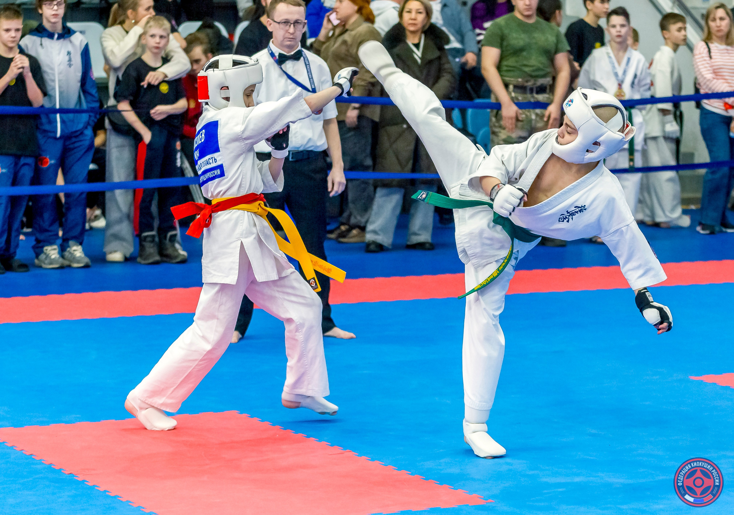 Международный турнир по киокушин «Открытый кубок Seiken». Репортажная съемка в Москве и области. Анималистика