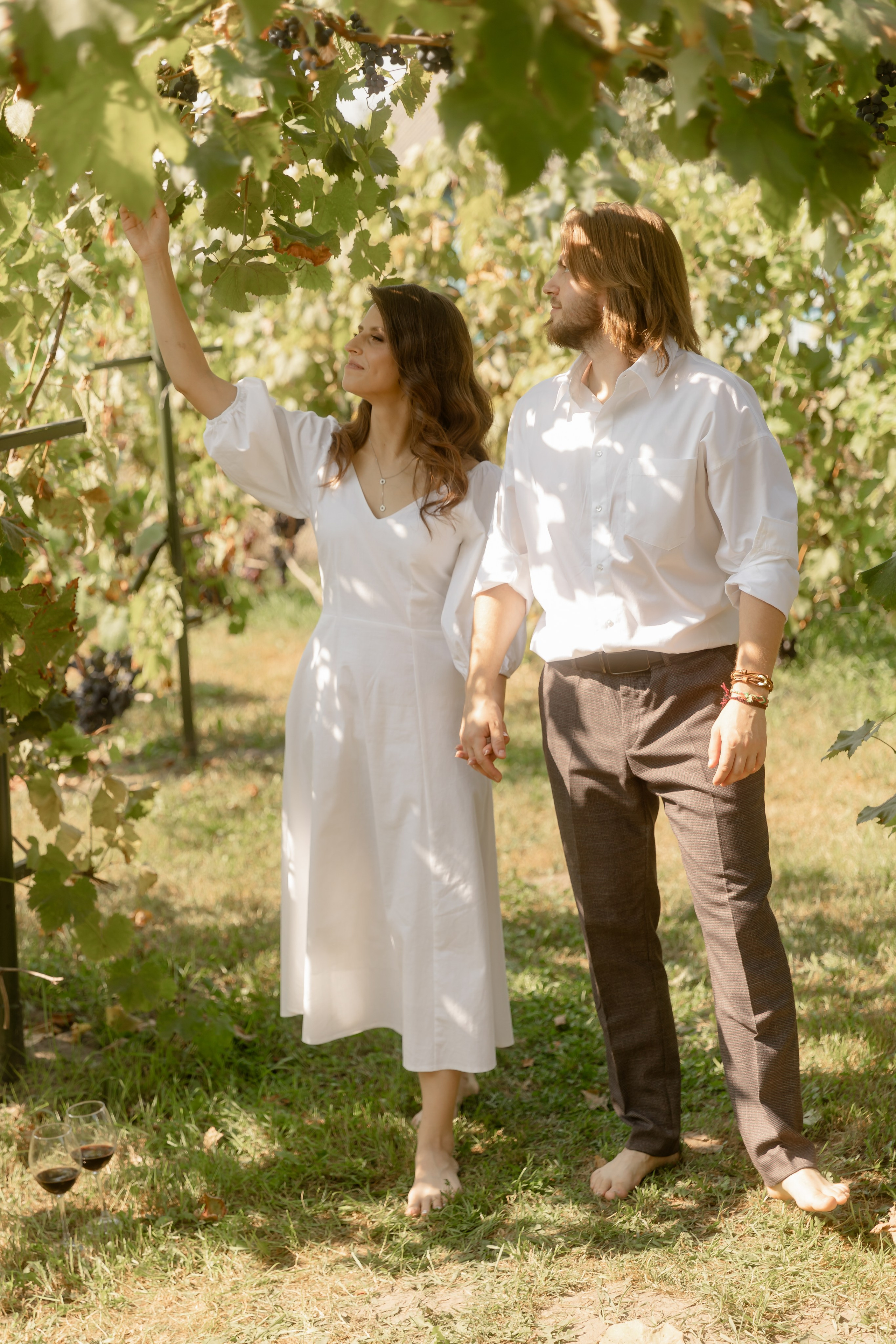 Виноградники. Dima Lemeshevsky