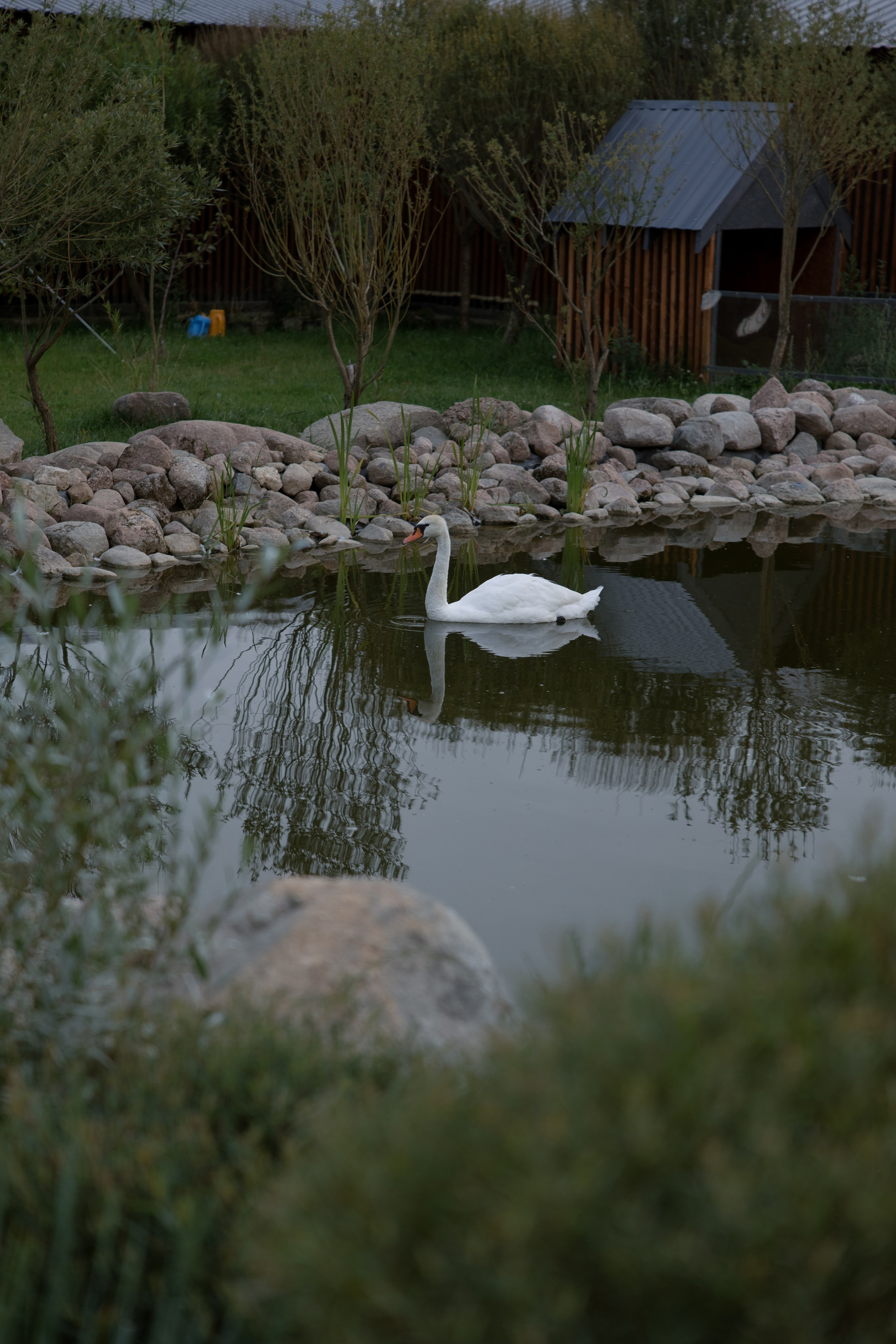 Илья и Кристина. Свадебный фотограф в Санкт — Петербурге и Ленинградской о