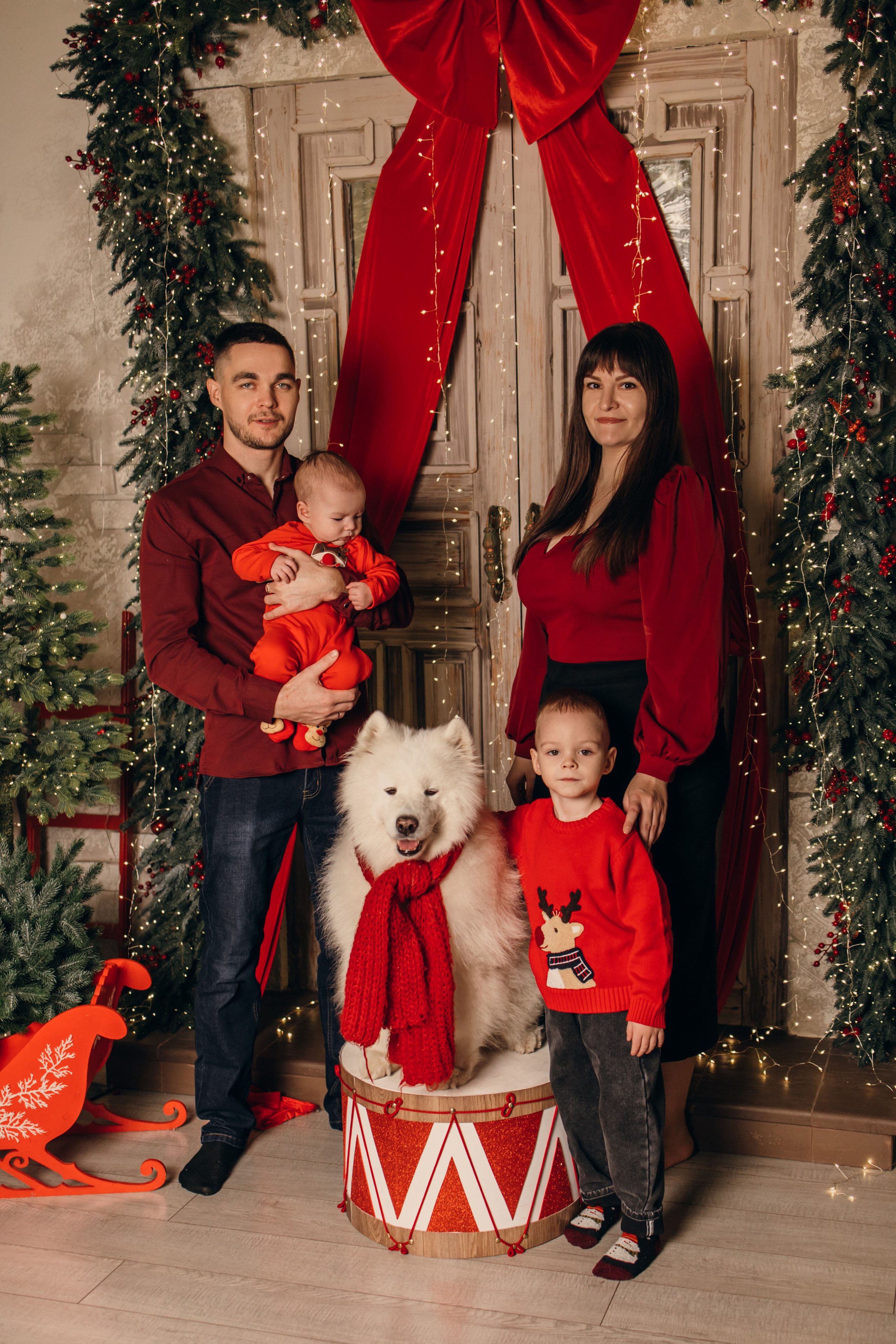 Новогодний самоед. Коновалова Ольга | фотограф в Пензе и Заречном