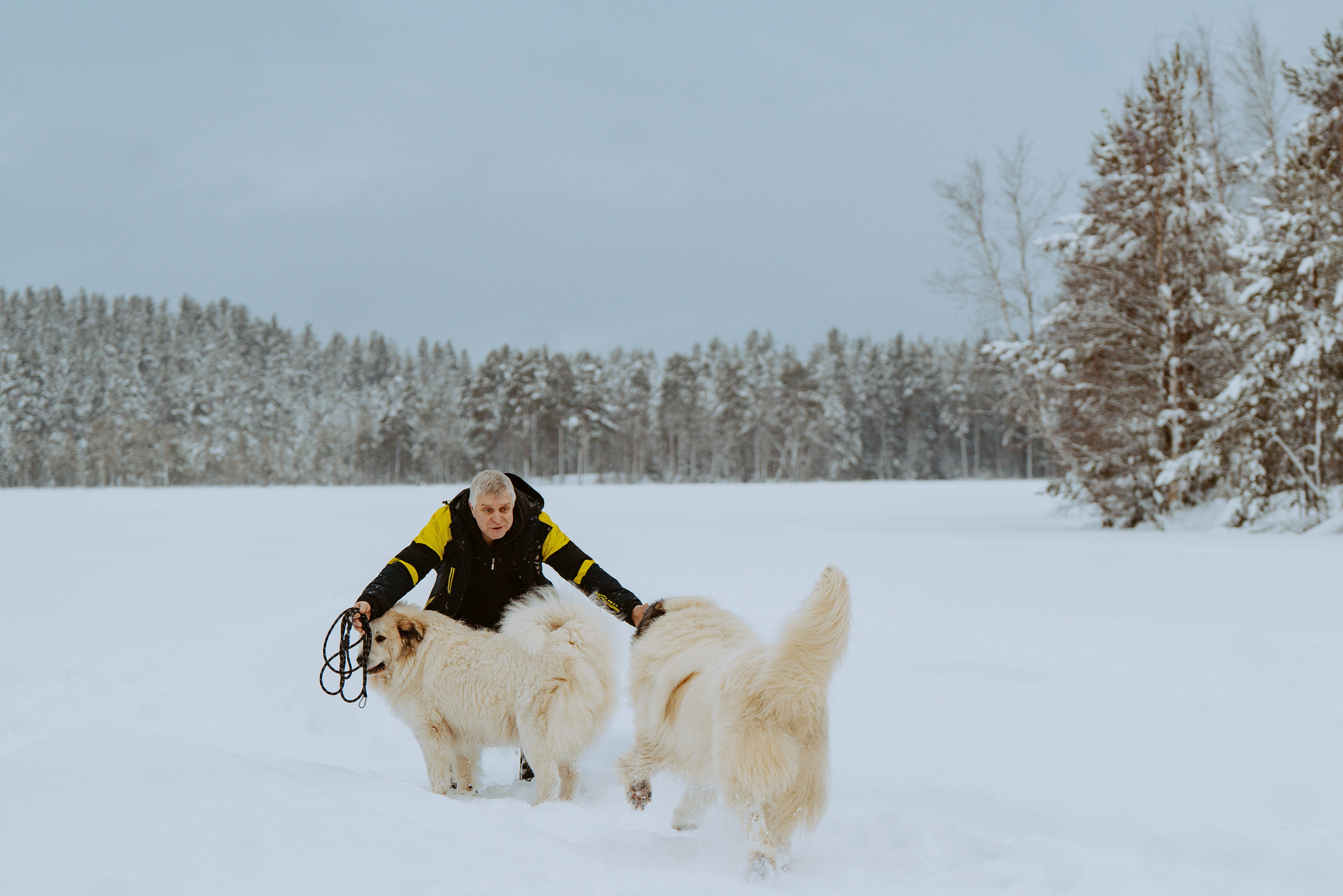 Фотограф питомцев в Санкт-Петербурге. Фотограф анималист в Спб недорого Олеся Майорова