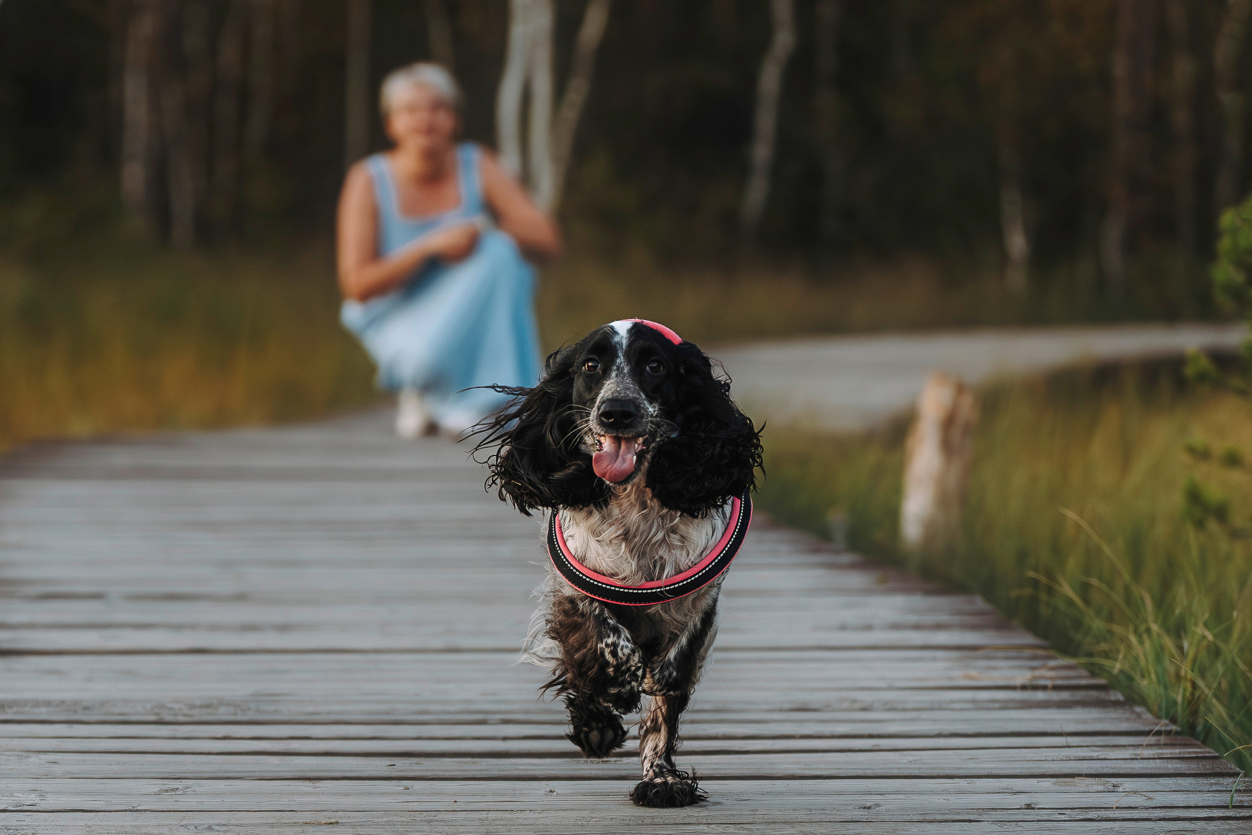 Аня и Тея. Фотограф анималист в Спб недорого Олеся Майорова
