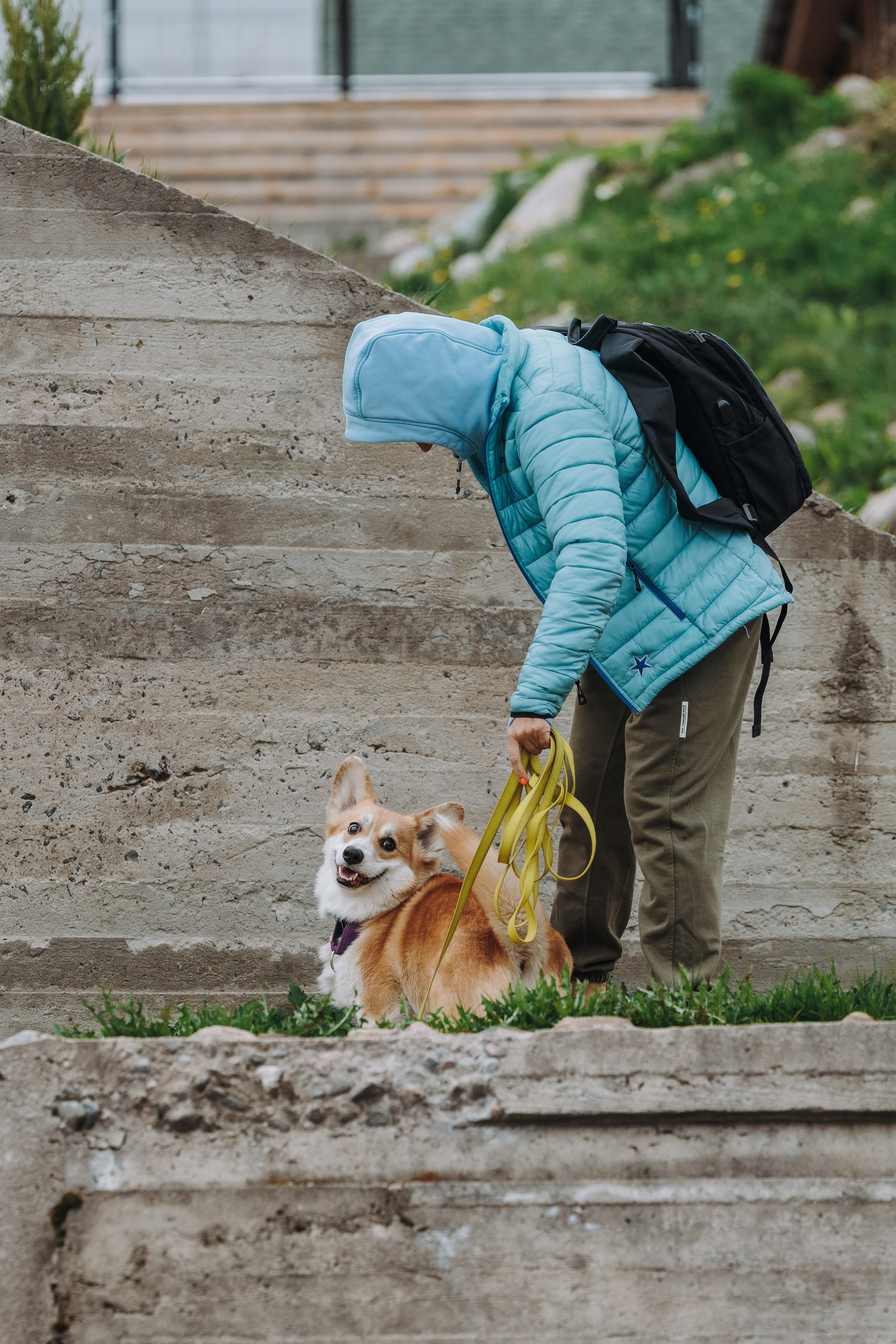 Соревнования по ноузворку в Лосево. Фотограф анималист в Спб недорого Олеся Майорова