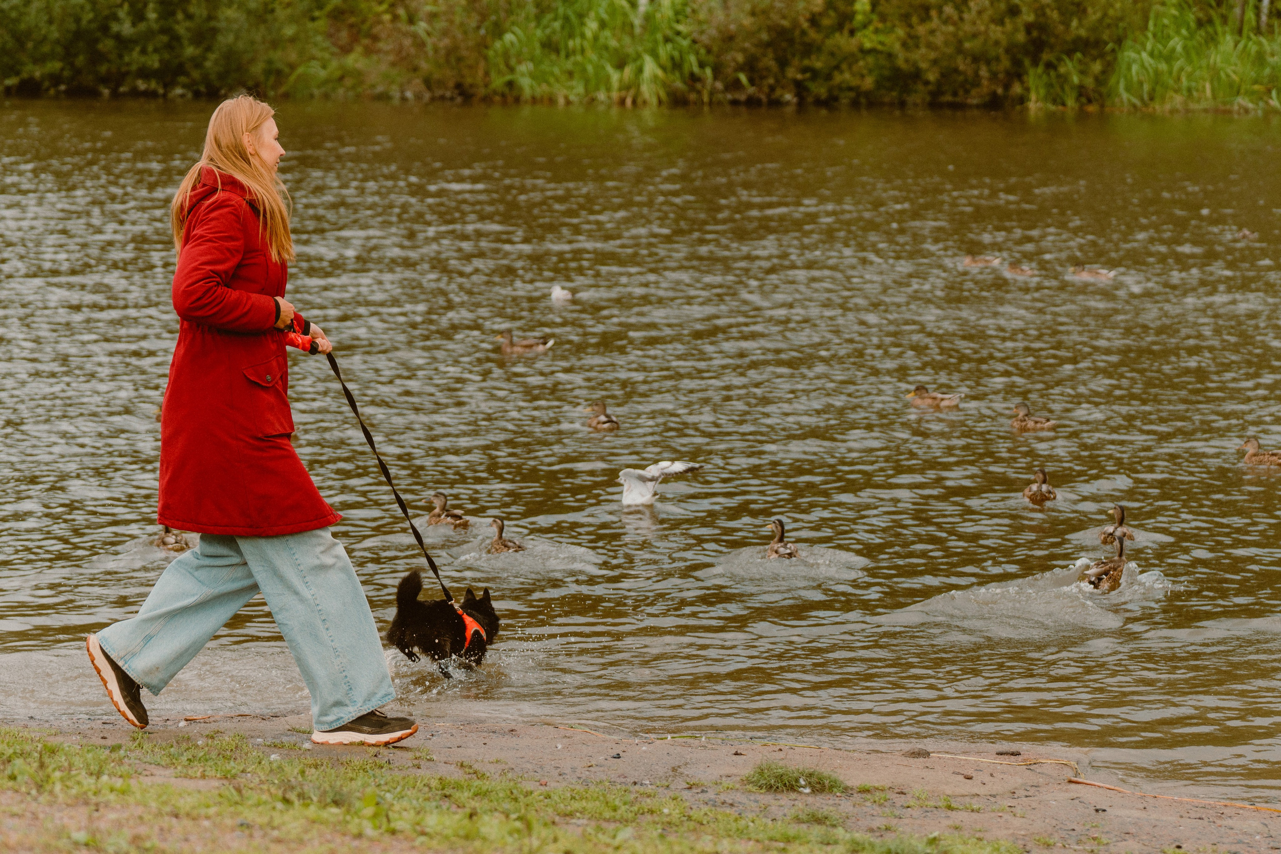 Евгения и Акула. Фотограф анималист в Спб недорого Олеся Майорова
