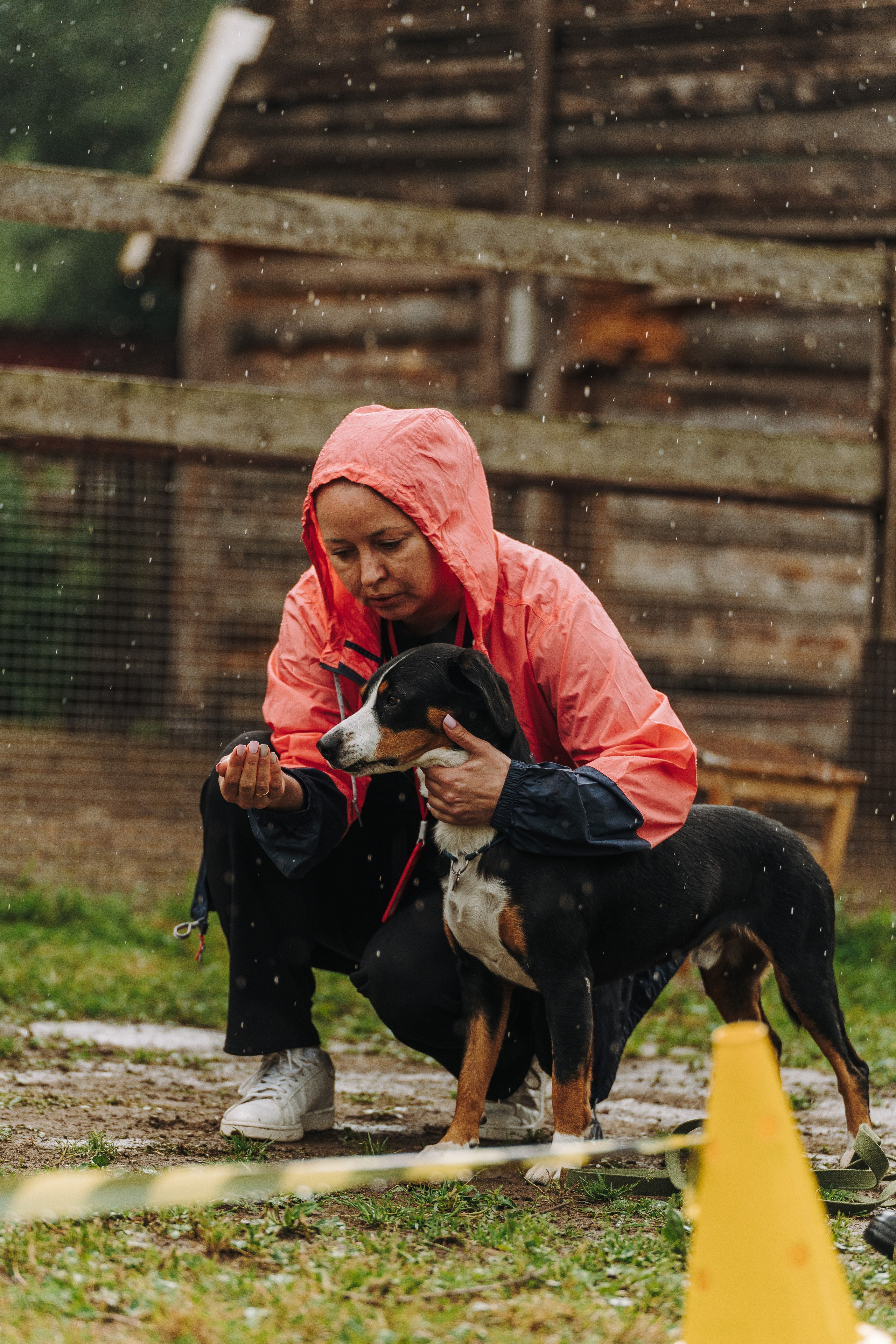 Соревнования по ноузворку в Новожилово. Фотограф анималист в Спб недорого Олеся Майорова