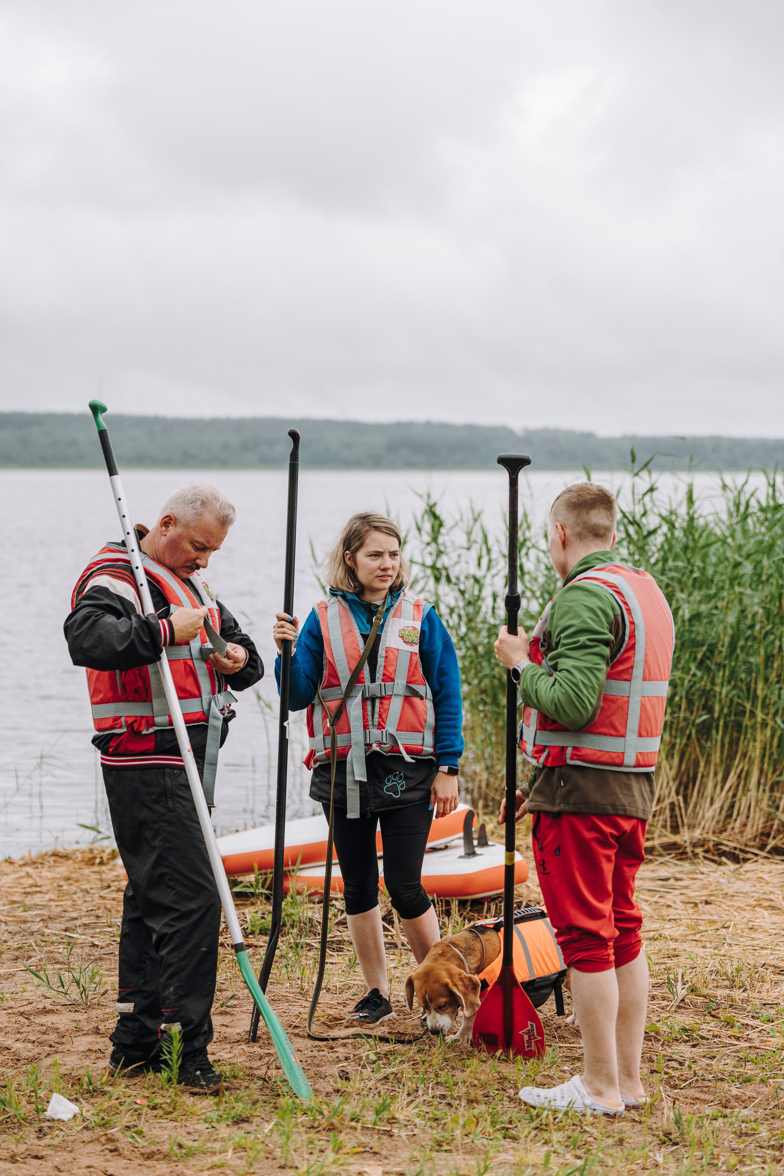 Катание на сапах с собаками. Фотограф анималист в Спб недорого Олеся Майорова