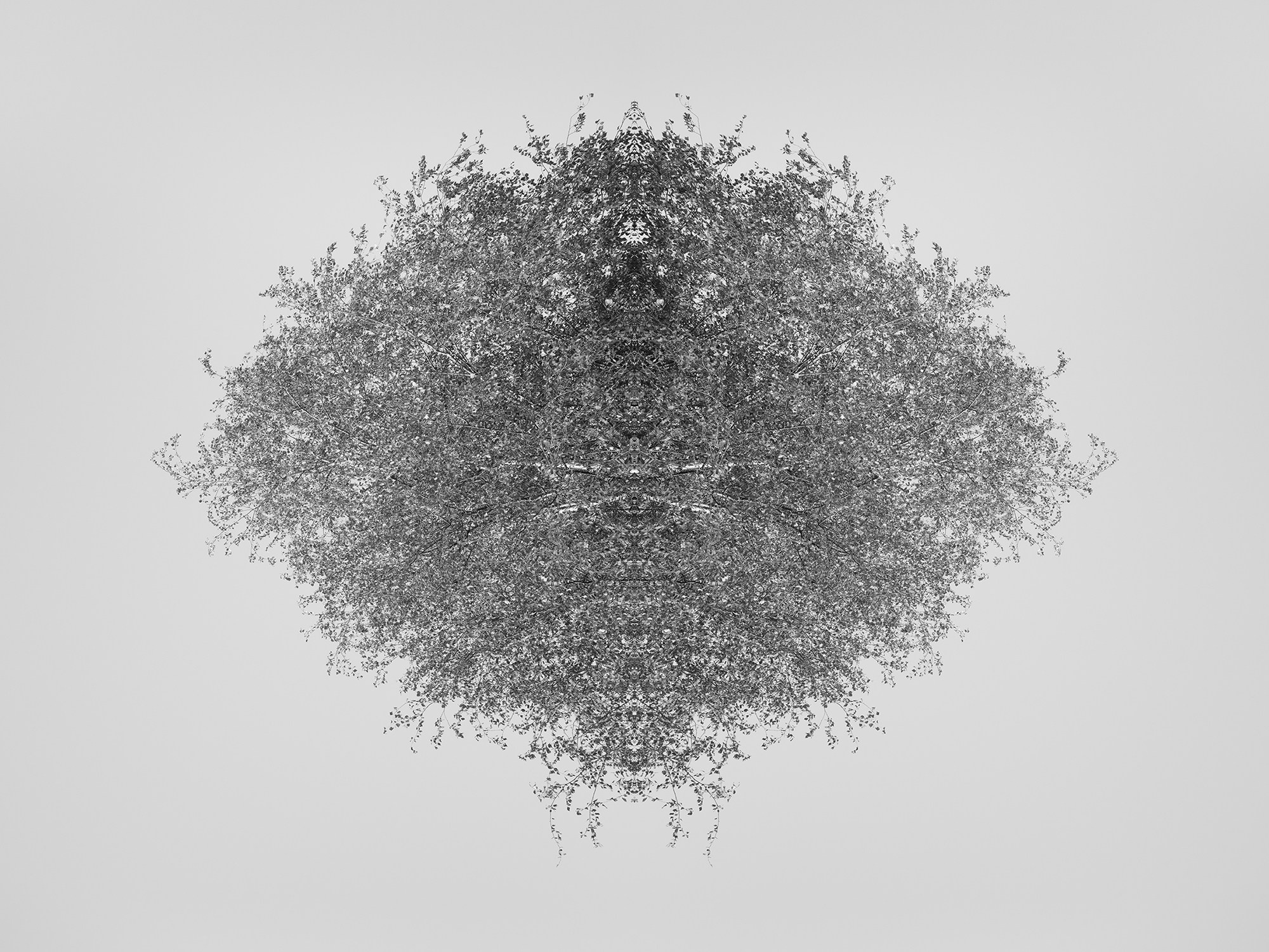 Острова. Анна Порошина — междисциплинарный художник