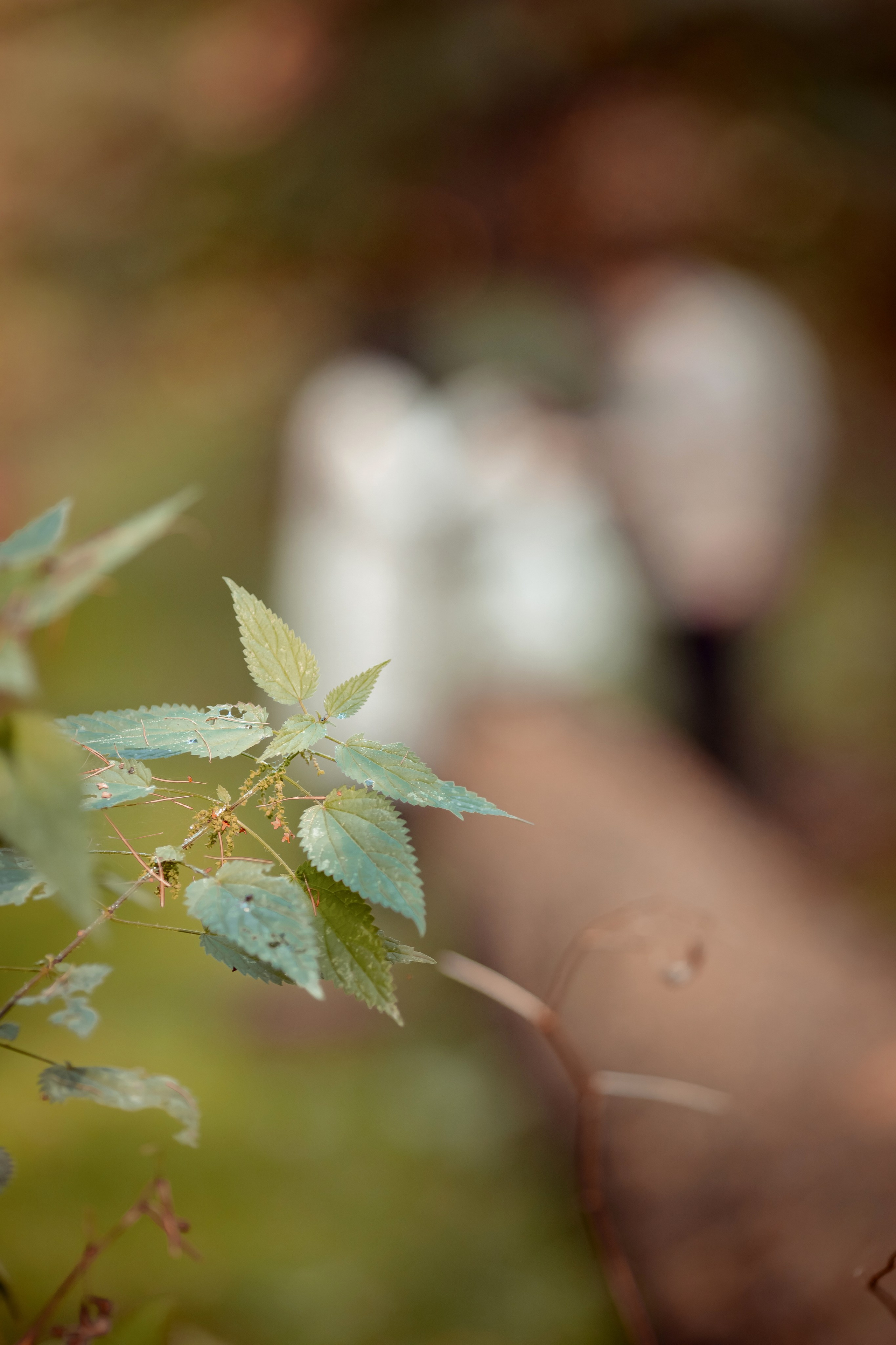 Надежда, Игорь, София. Семейный и детский фотограф в Москве Дорогова Екатерина
