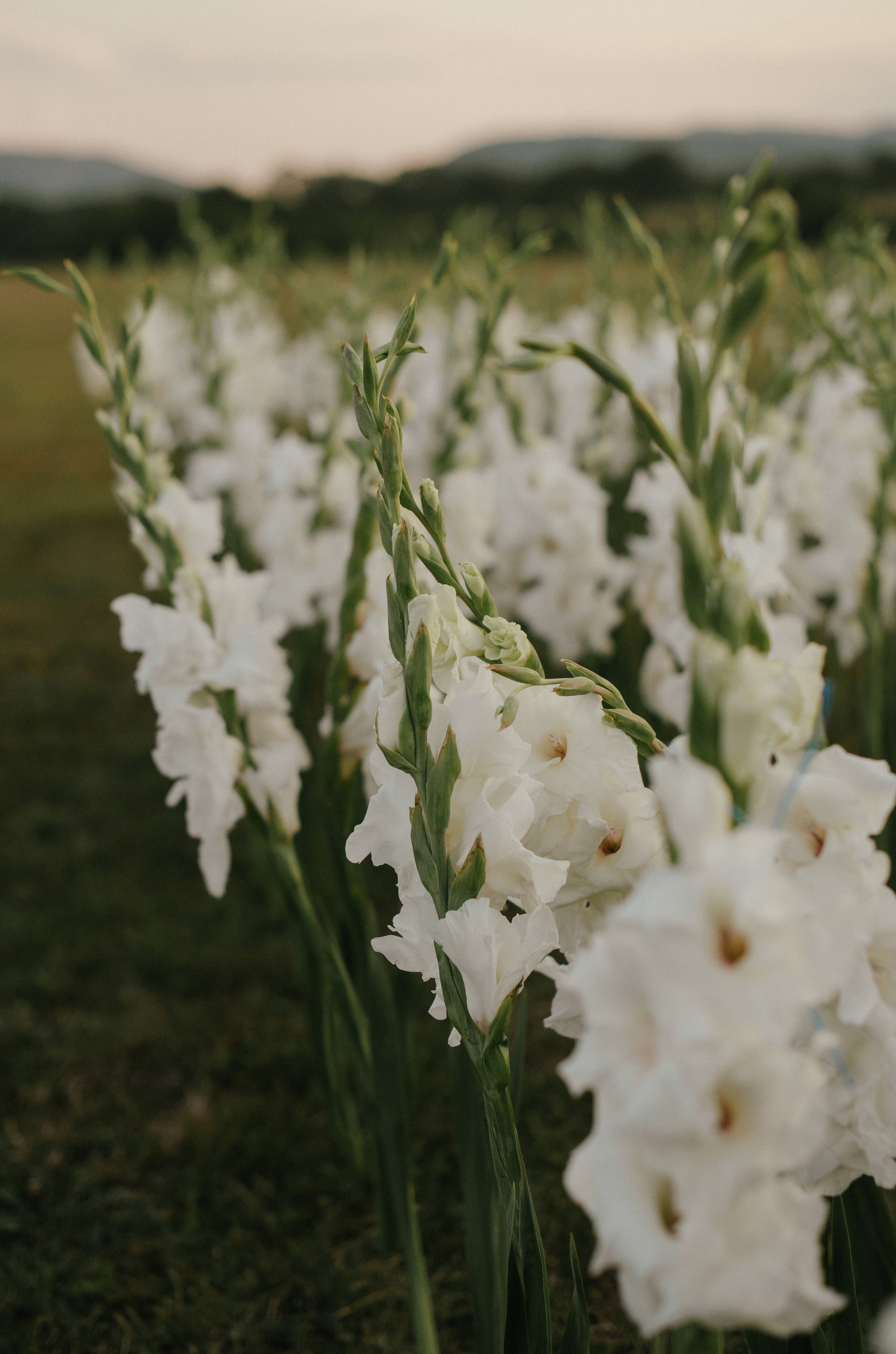 Владислав и Юлия (Вечеринка по случаю венчания). Свадебный, женский, семейный фотограф в Севастополе Юлия Мошенко