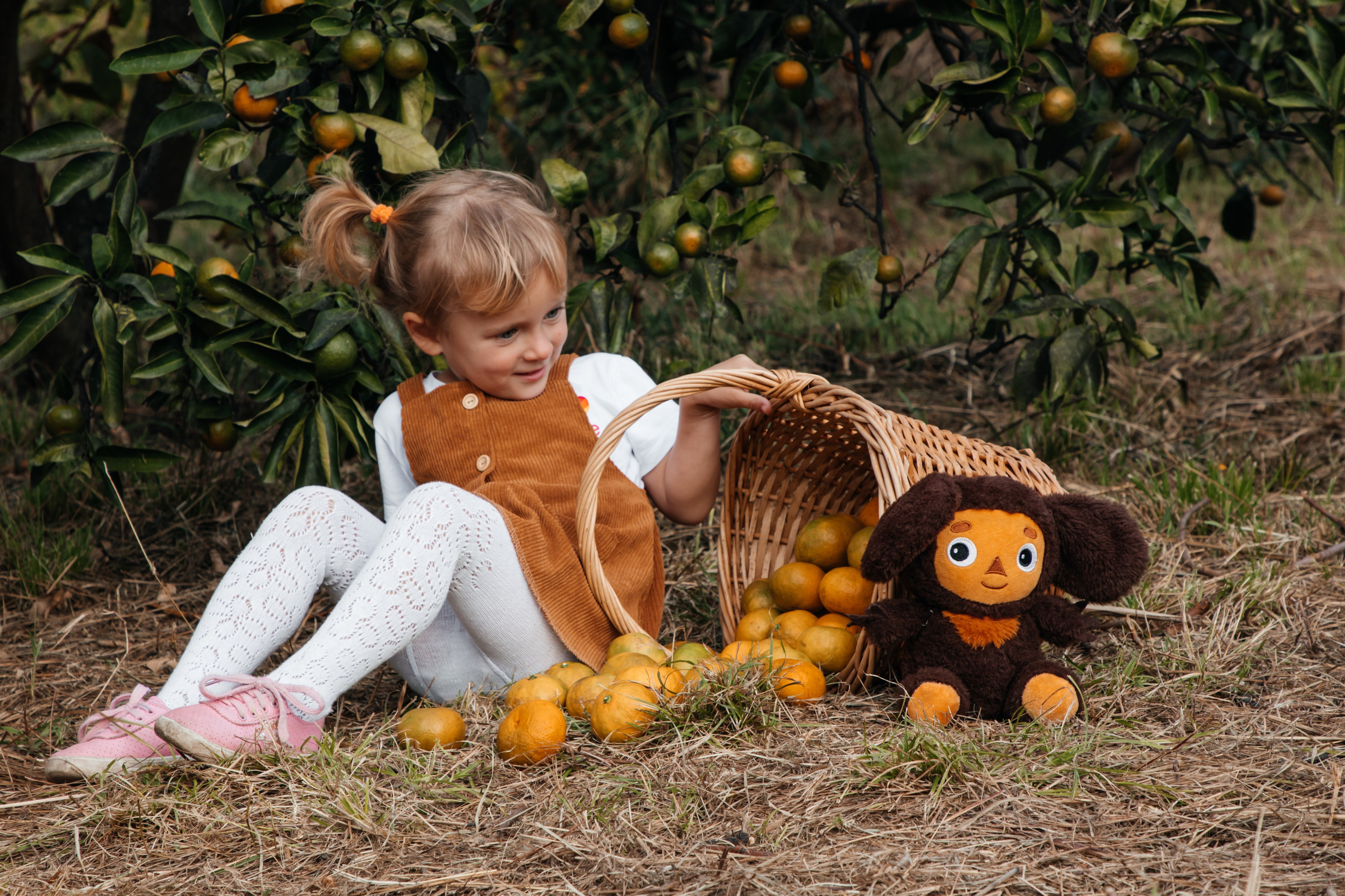 Мандариновое настроение. Фотограф Сочи, Екатеринбург, Евгения Ефимова