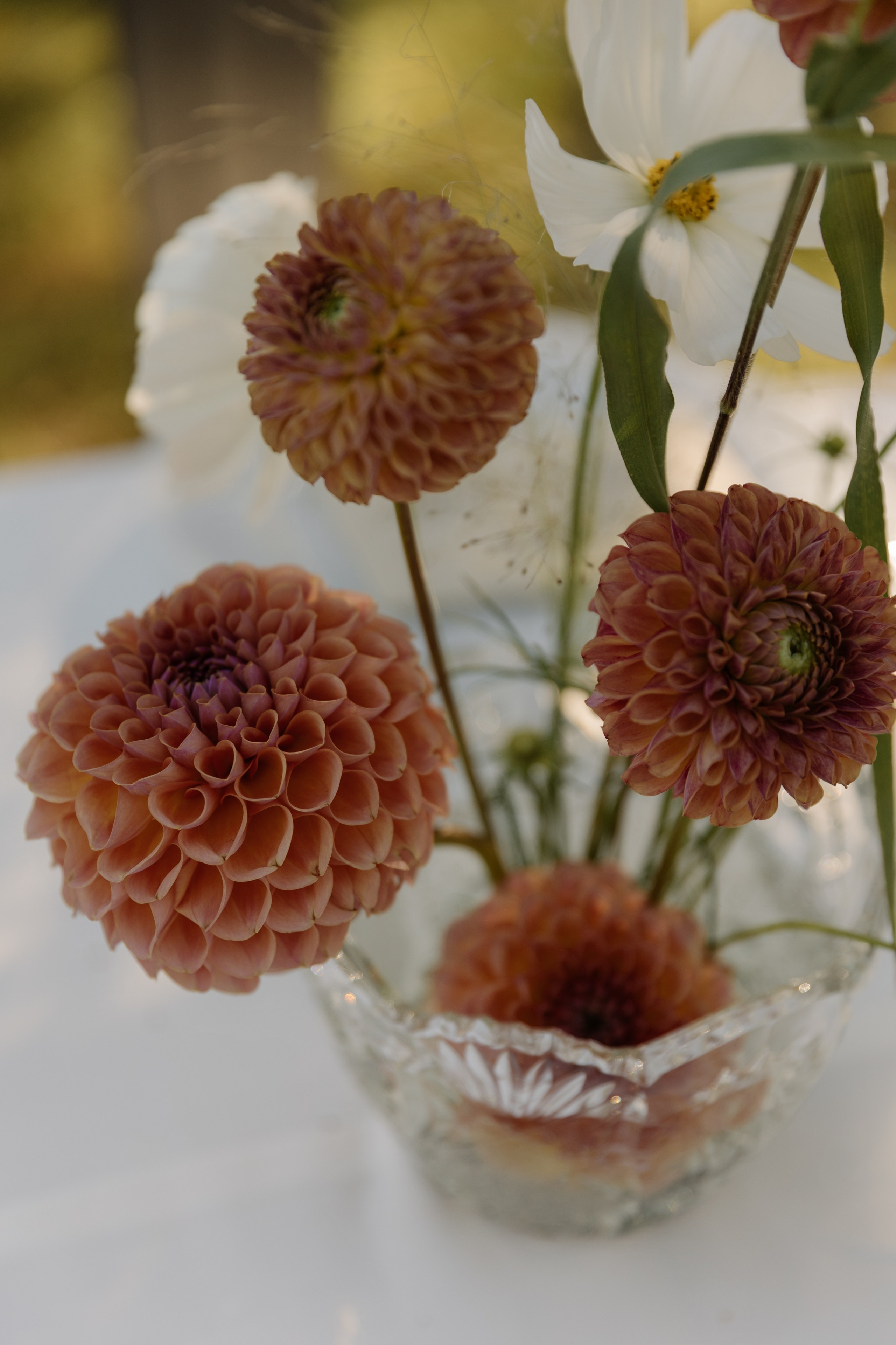 Коля и Олеся | 30.08. Портретный и свадебный фотограф в Москве Алина Гевал