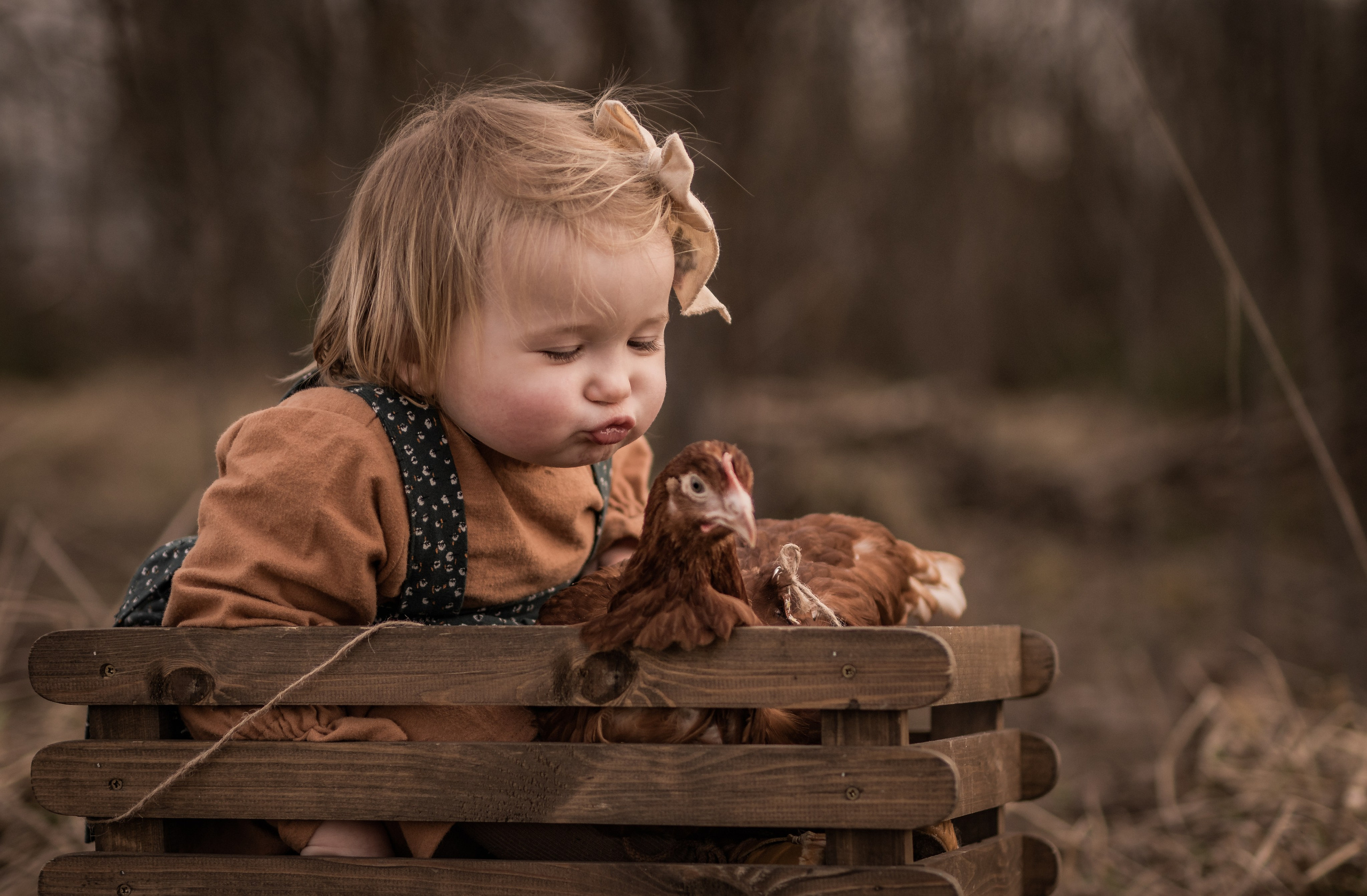 Куриная история. Семейный фотограф Ефремова Виктория