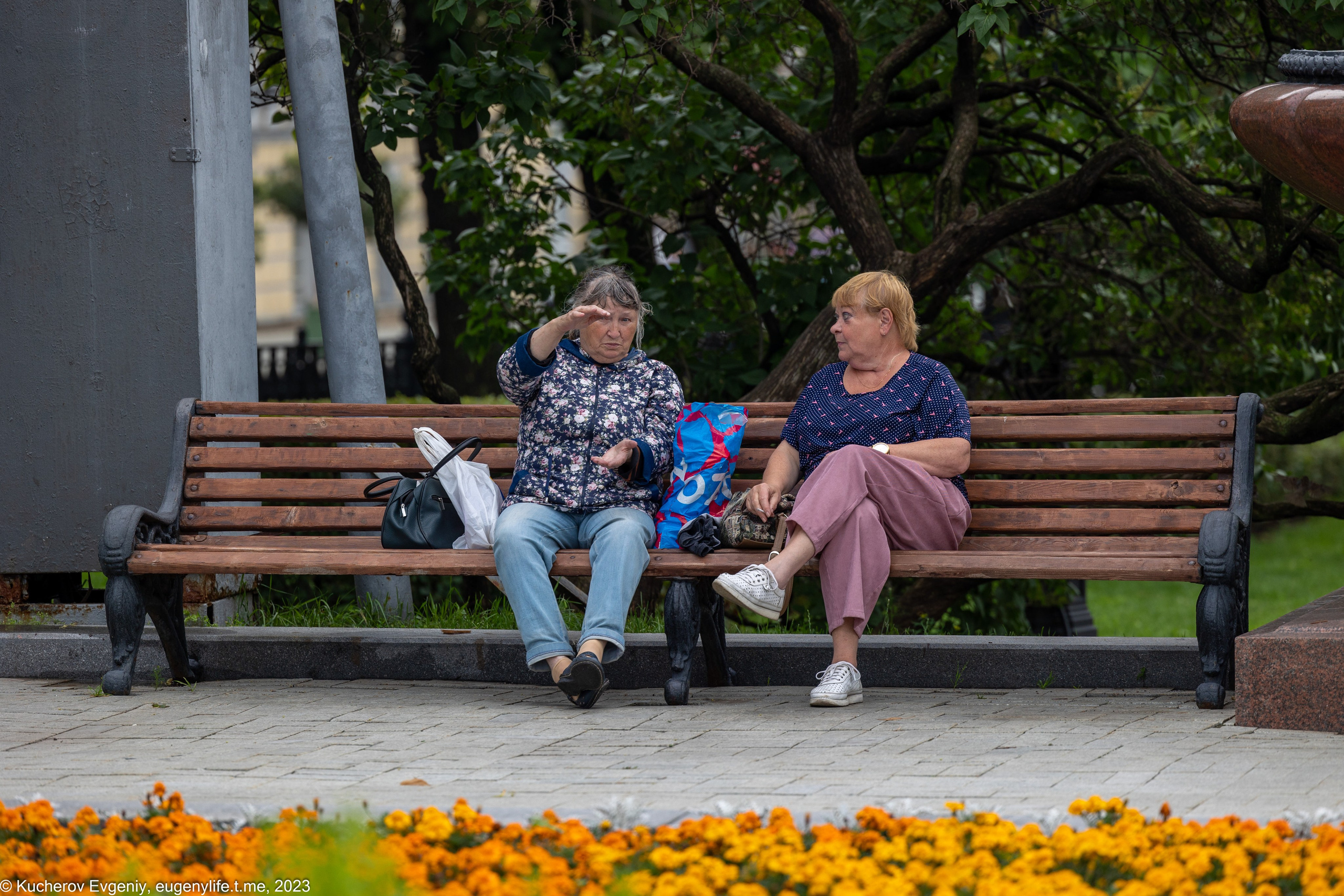 Скамейки. Кучеров Евгений. Фотограф