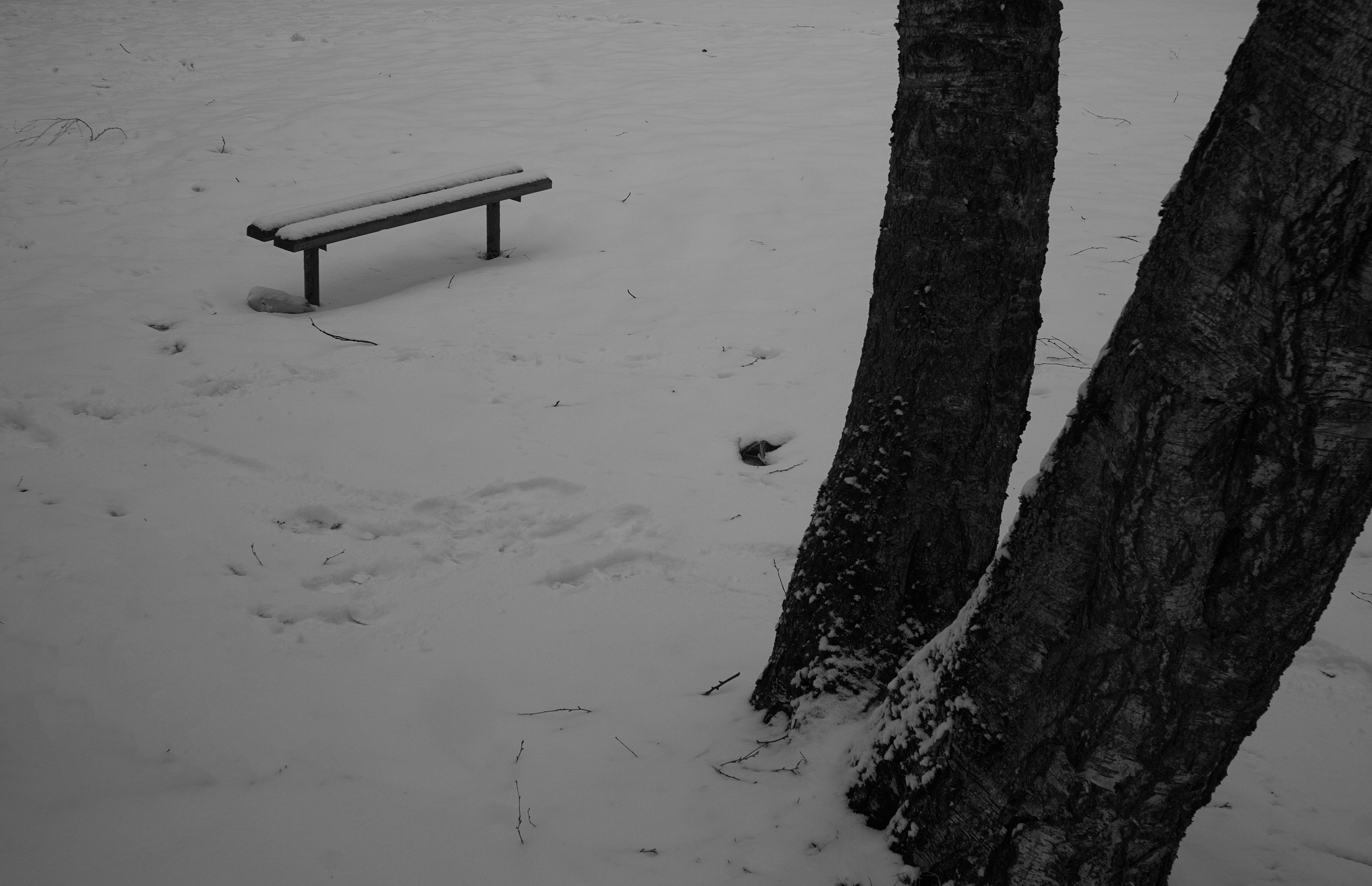 Санкт-Петербур — Выборг — Сортавала 23г. Фотограф и оператор мероприятий, концертов и портретов в городе Москва