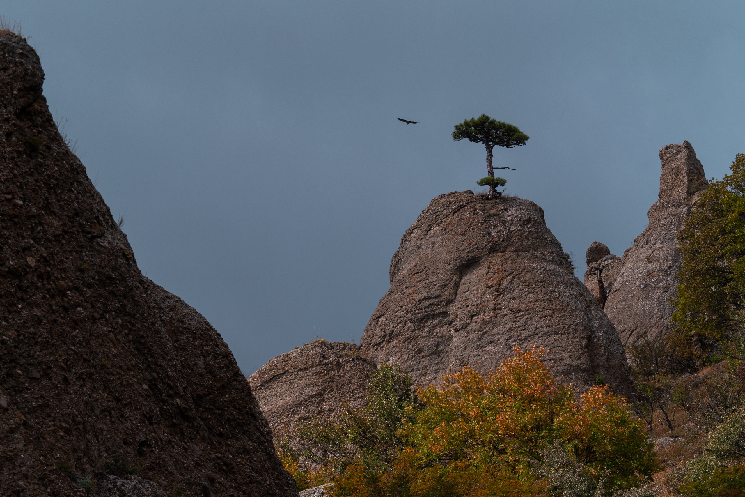 Путешествия и пейзаж. Репортажный фотограф в Красной Поляне и Сочи Павлюченко Екатерина