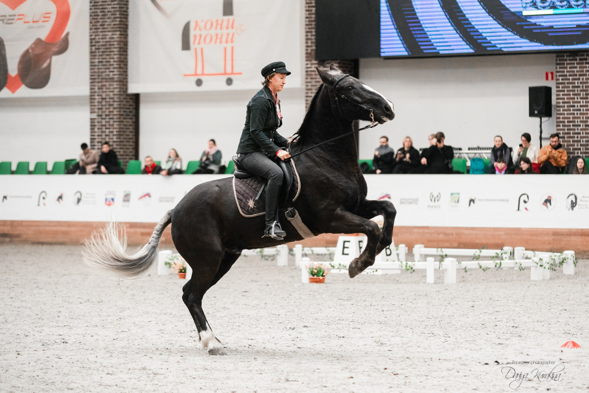 8-я международная выставка Конная Россия. Конный фотограф Куракина Дарья • Фотосессии с лошадьми