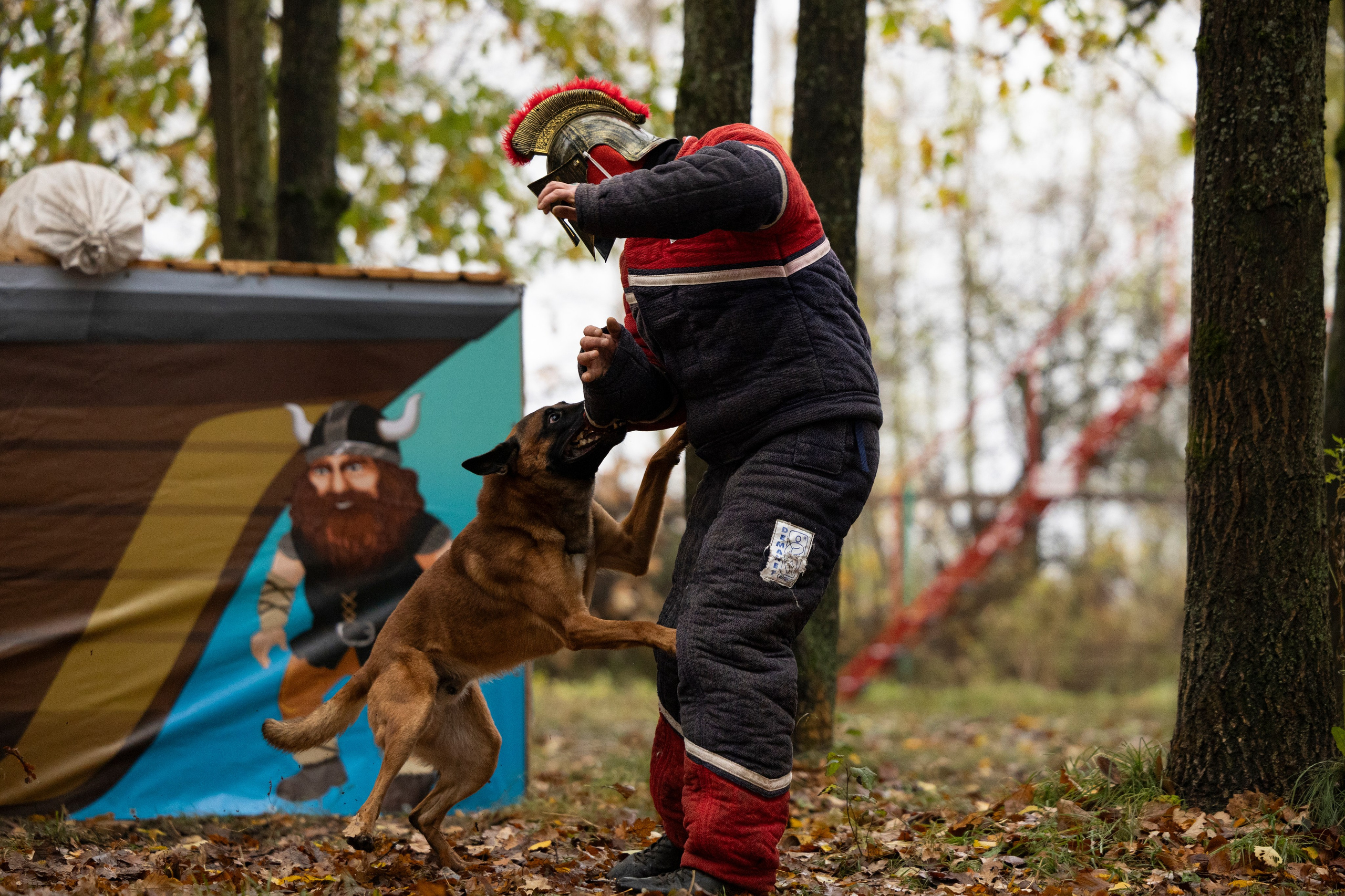Соревнования по Мондьорингу г. Вологда. Фотограф-анималист Анна Маринич