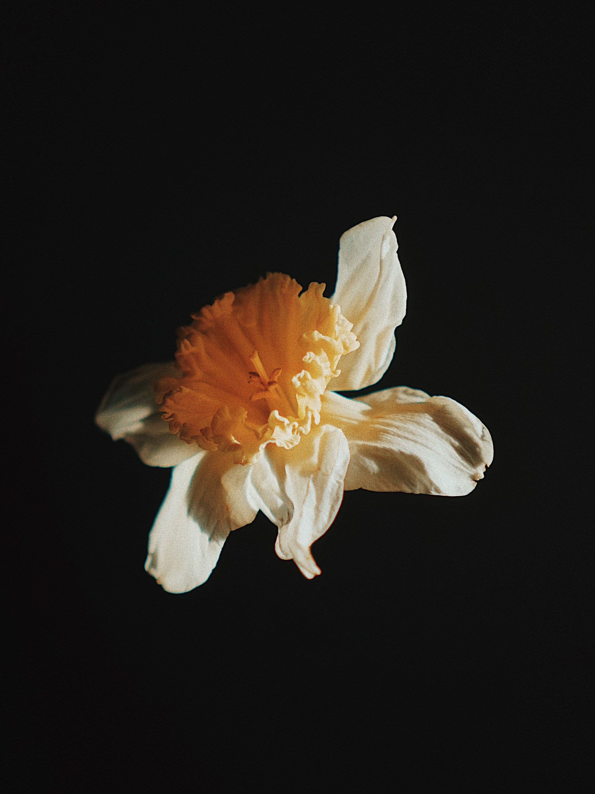 Ксения Копна. Фотограф из Санкт-Петербурга