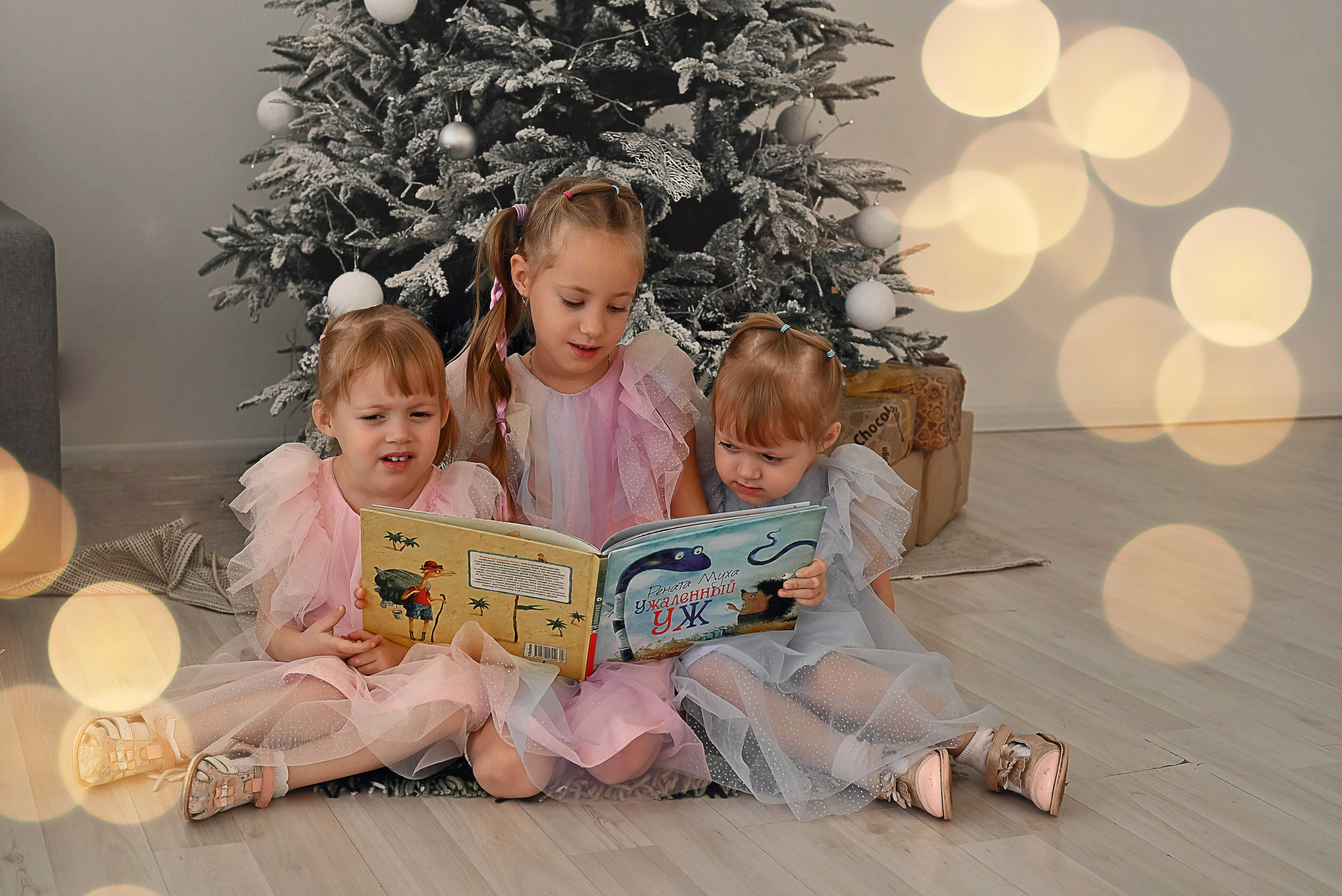 Александр, Юлия, Тася, близнецы Ульяна и Анечка. Фотографы крещения/венчания  Красноярск Татьяна и Вячеслав Переваловы