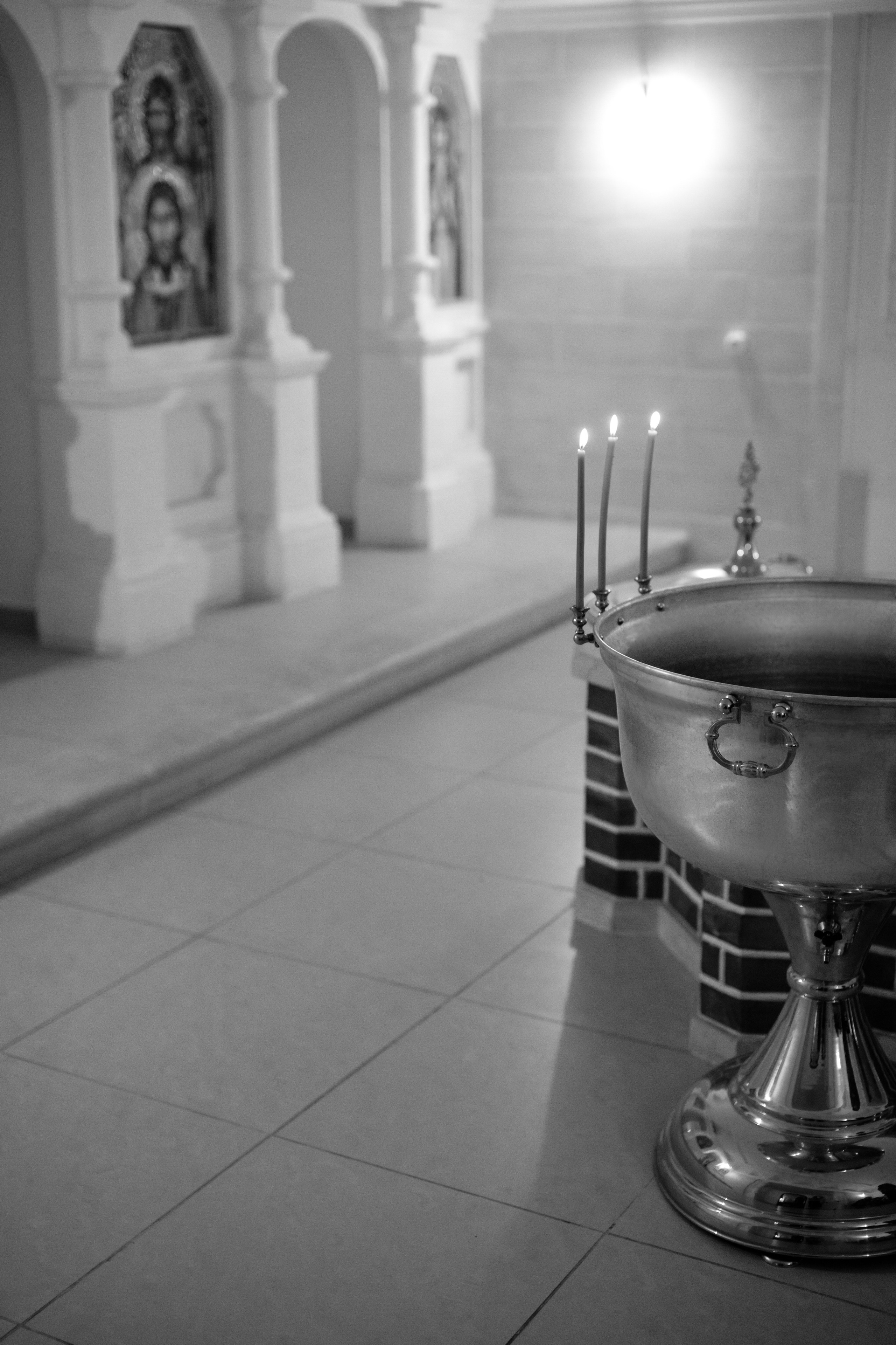 2/02/23. Фотограф НатаФото (Наталья Яковенко) Дмитров Москва Питер