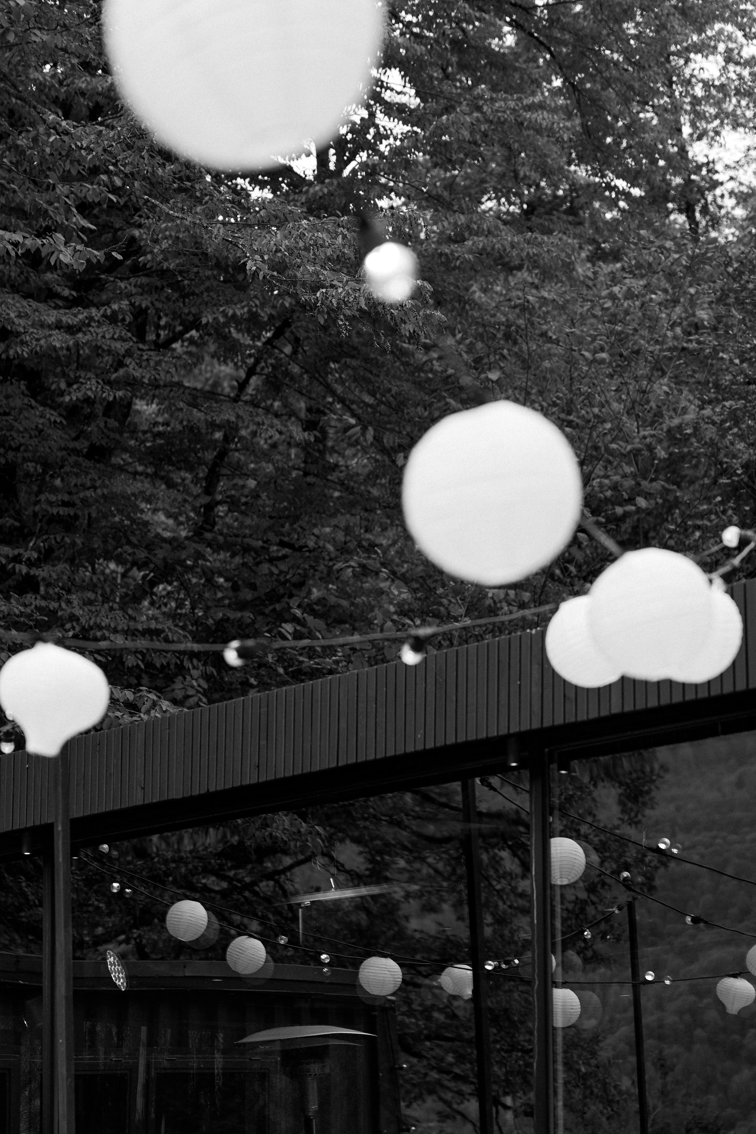 Роман и Эмилия. Фотограф Айвазова Наталья Краснодар