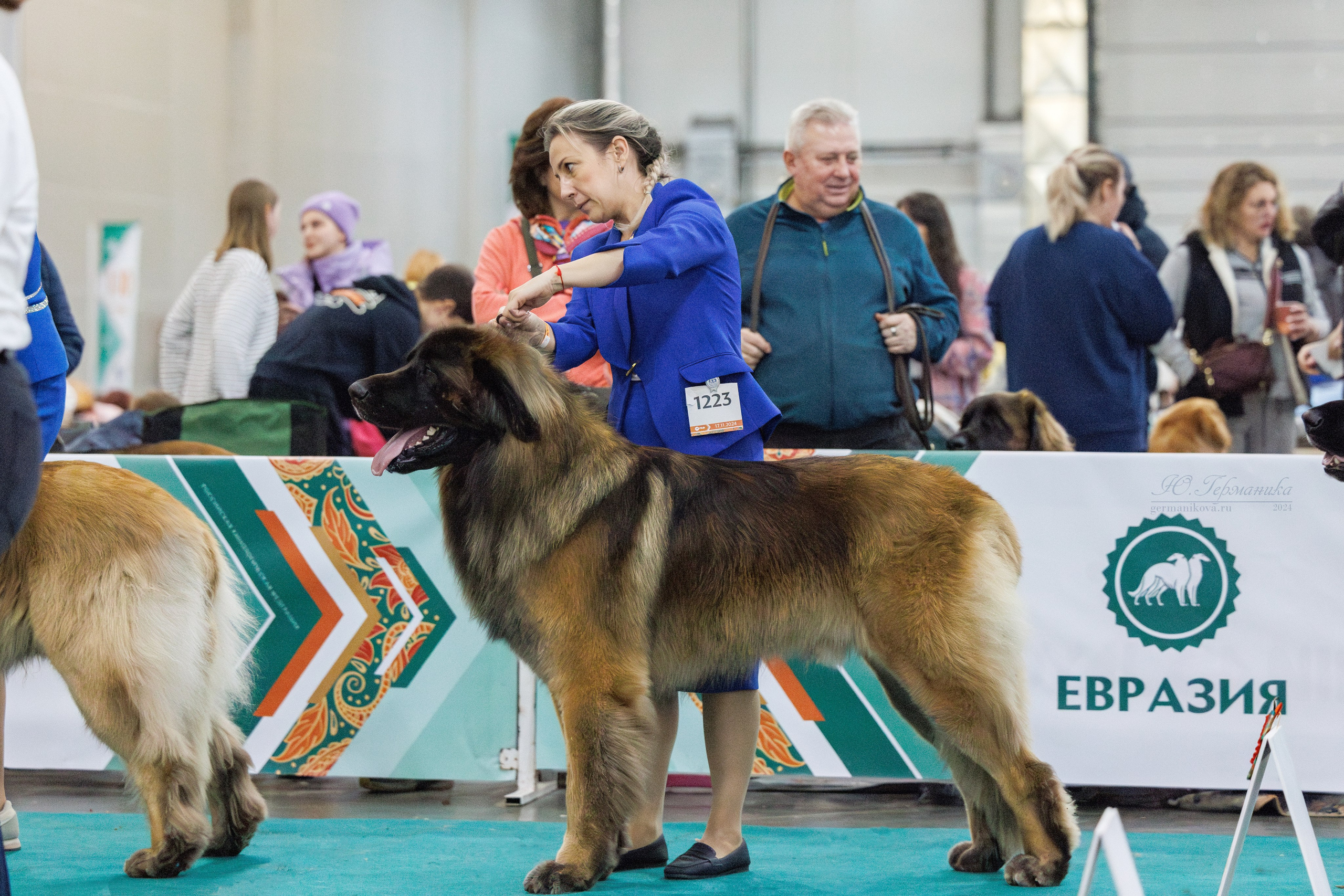 Евразия 16-17.11.2024. Фотограф-анималист Юлия Германика