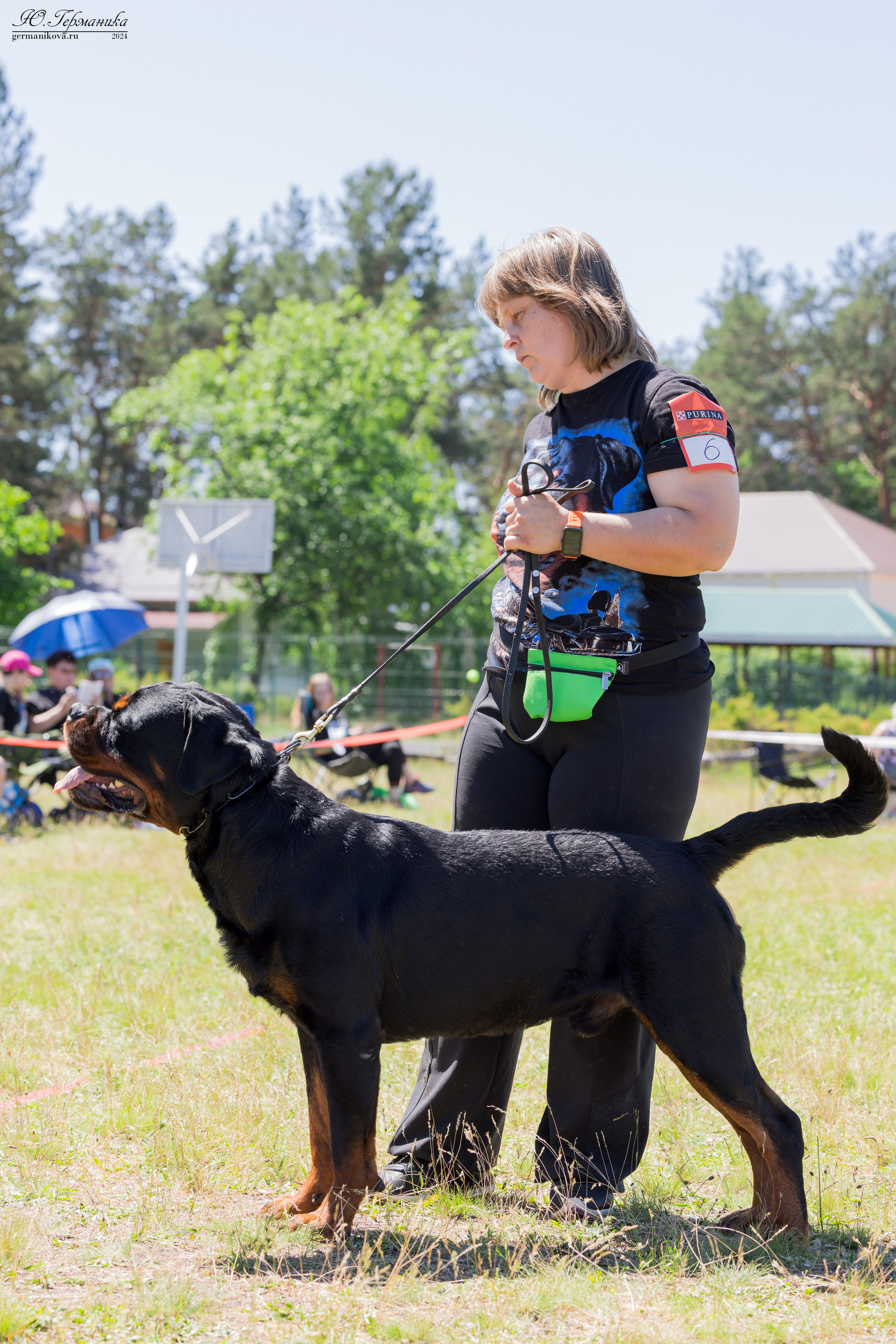 Воронеж моно ротвейлеров 25-26.05.2024. Фотограф-анималист Юлия Германика