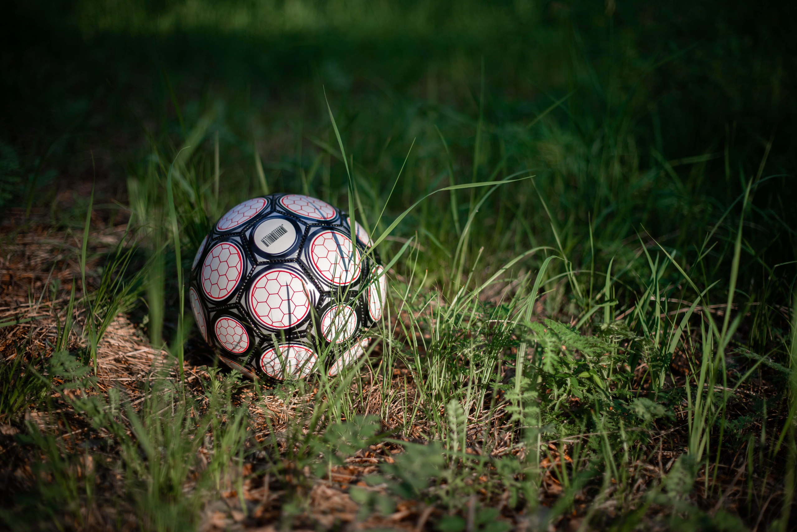 Самая преданная Болельщица. Фотограф в г. Чита — Наталья Кириллова