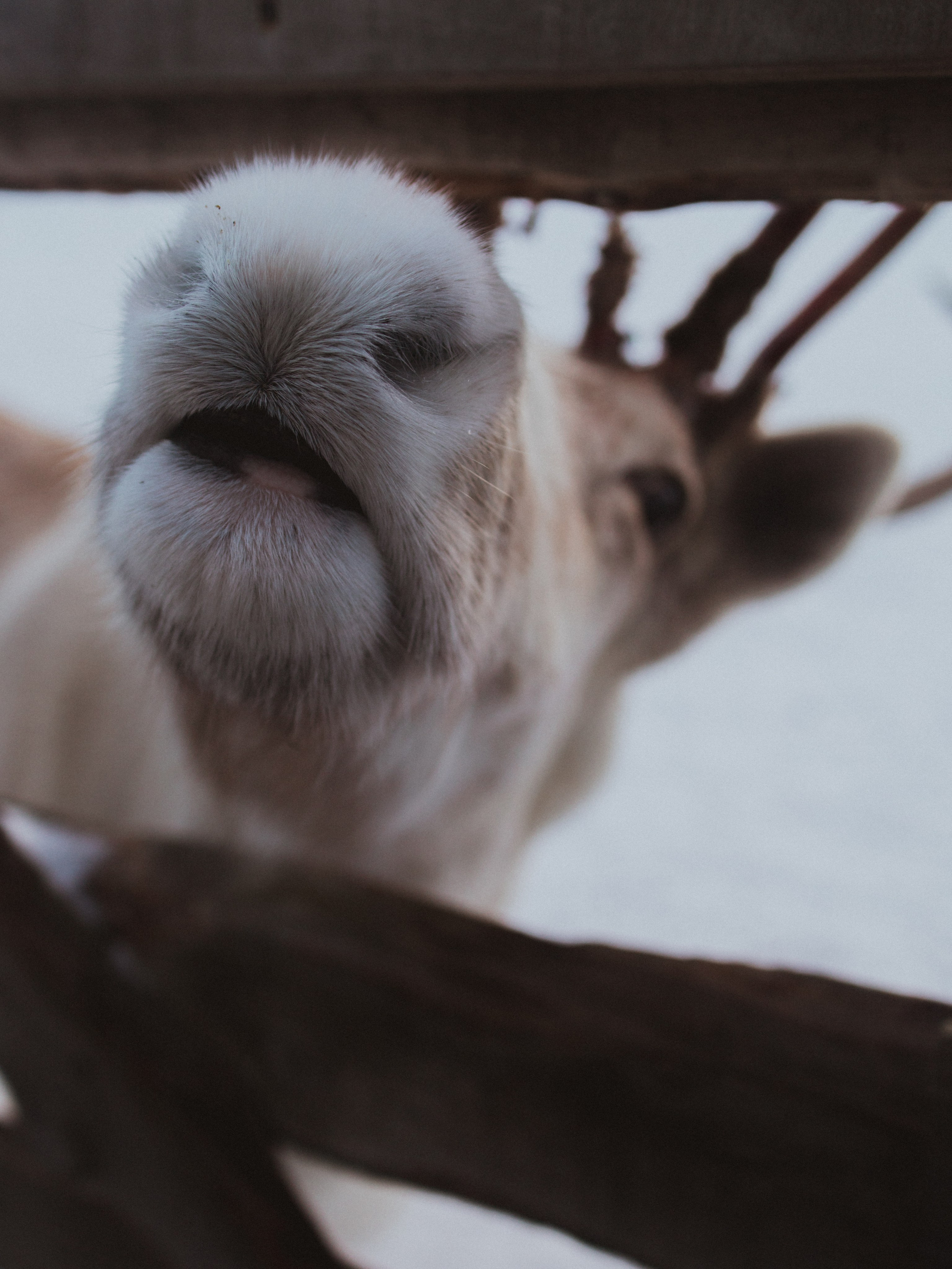 Териберка. Анна Мильч