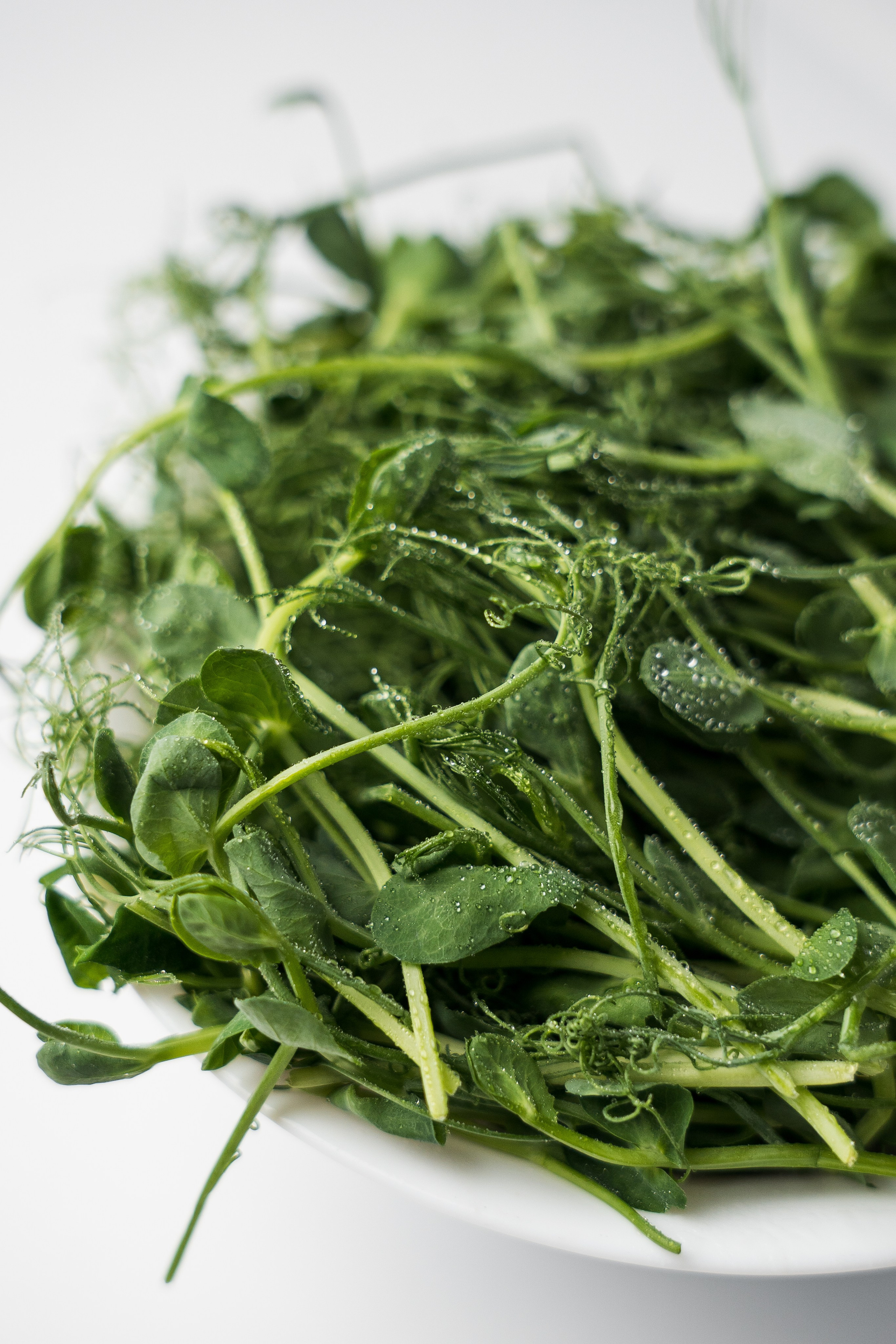 «ЧУДЕСНАЯ ЖИЗНЬ». Фотограф в Москве Казакова Анна