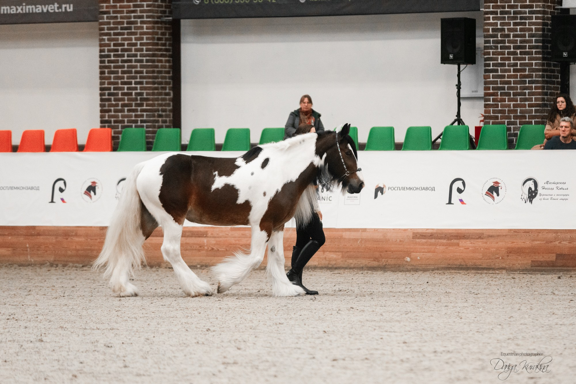 8-я международная выставка Конная Россия. Конный фотограф Куракина Дарья • Фотосессии с лошадьми
