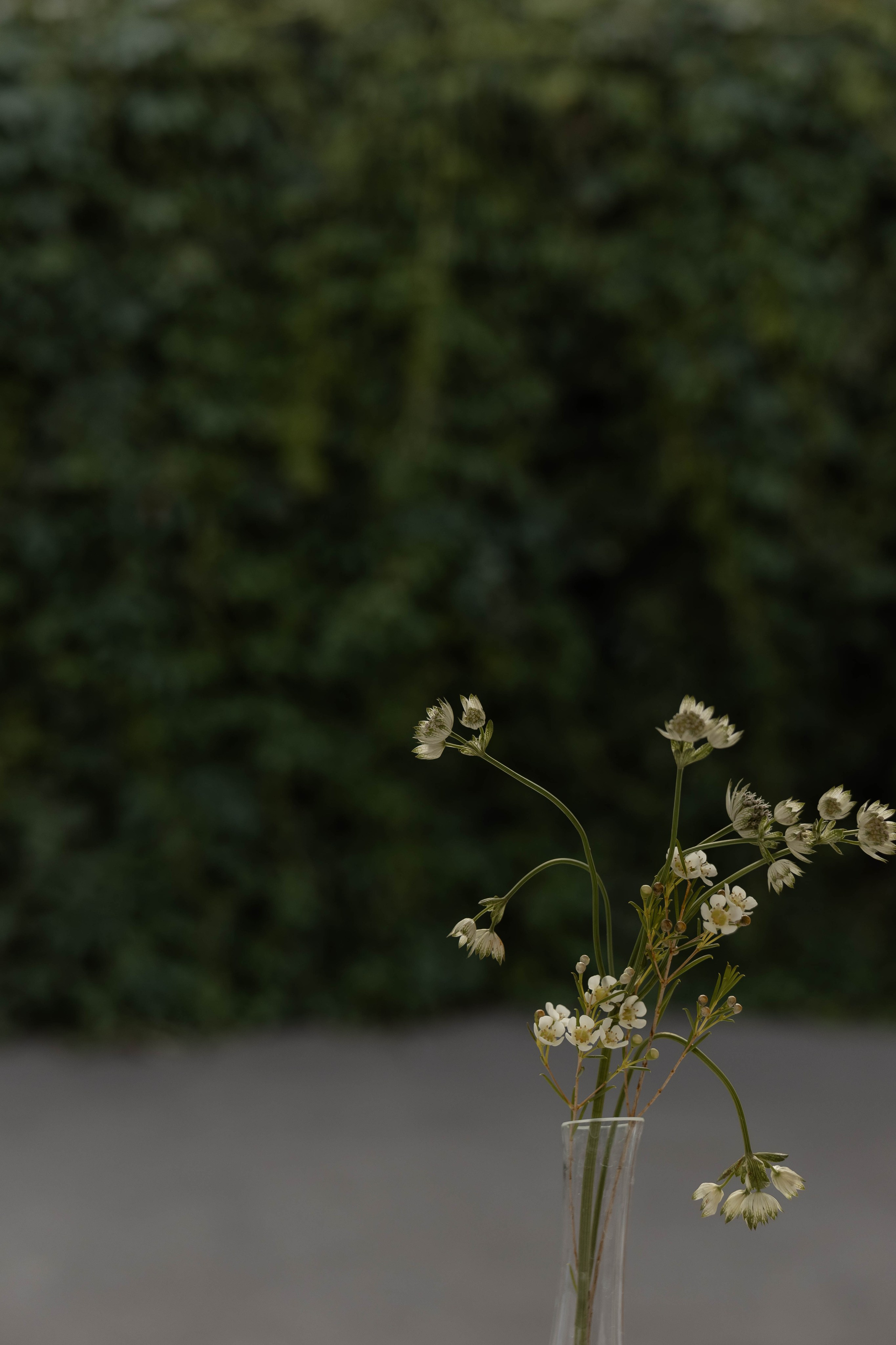 ILSUR | GUZEL. Главная