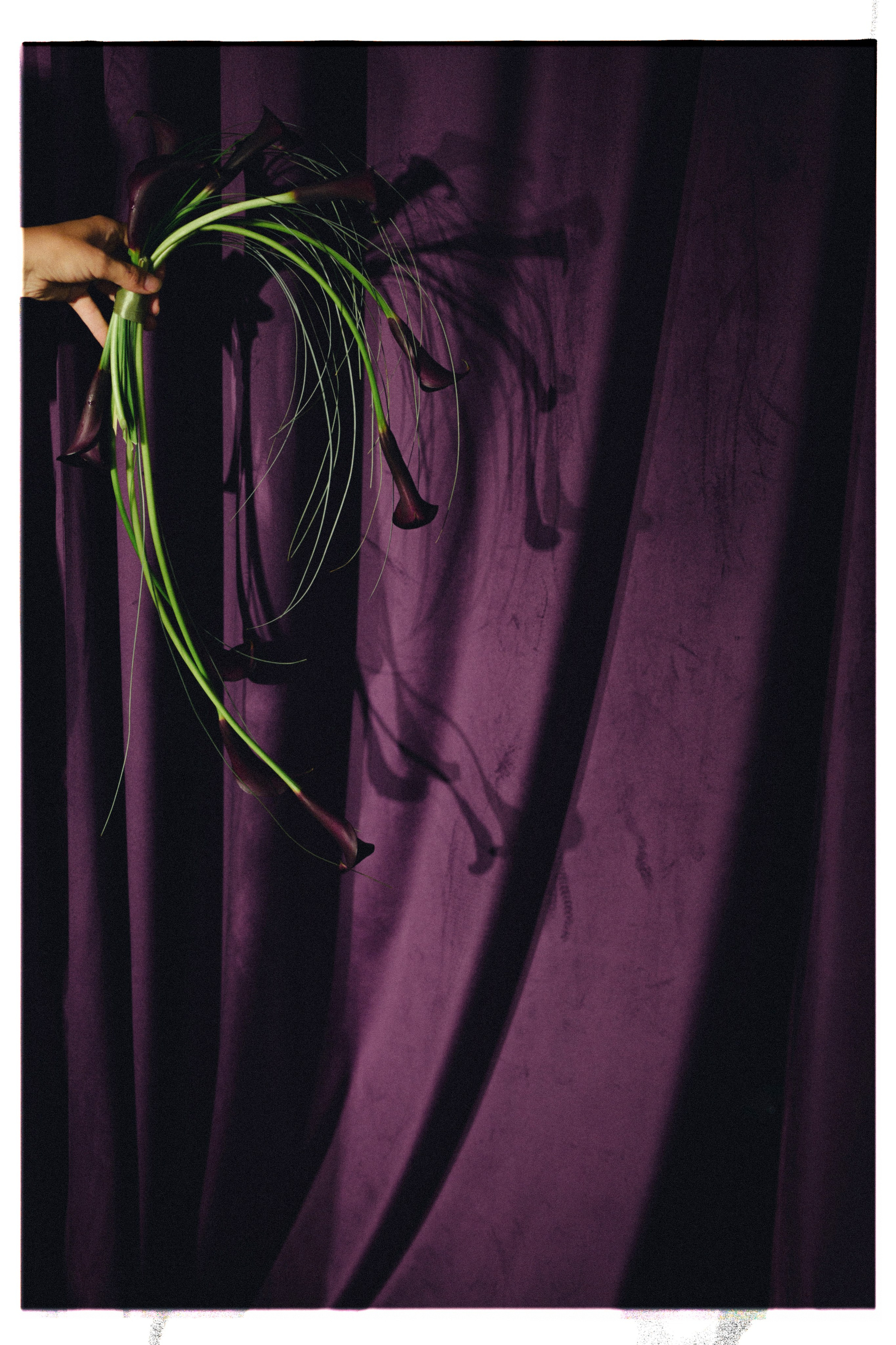 АЛЁНА И ДЕНИС. Свадебный и семейный фотограф Никита Корохов