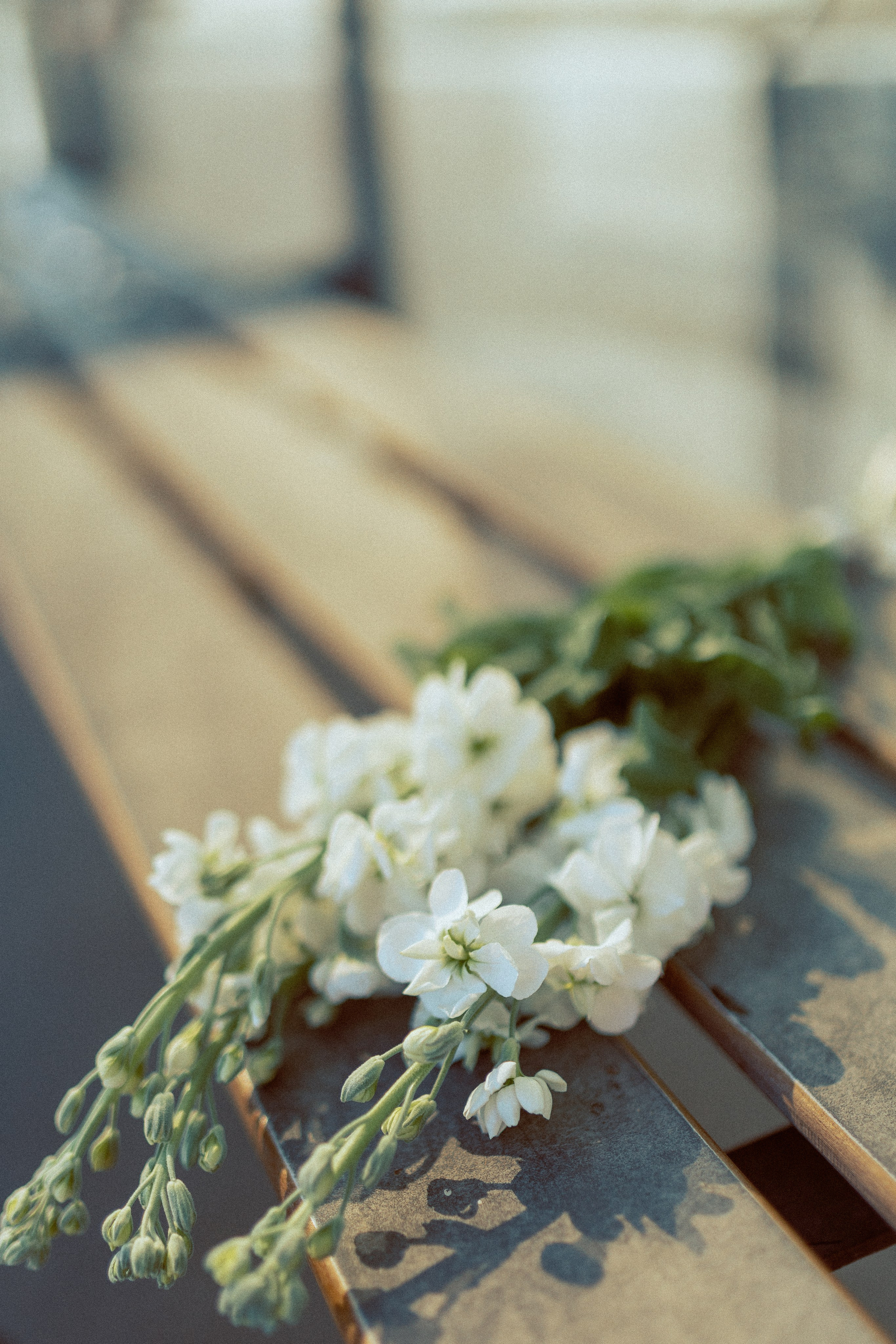 Нина и Денис. Семейный и свадебный фотограф в Санкт-Петербурге Науменко Владислав