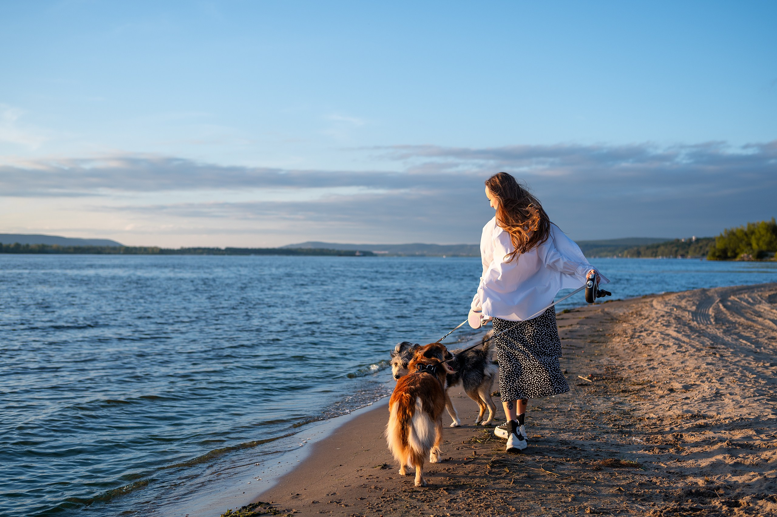 Лиза, Клопа и Хрюша. Главная