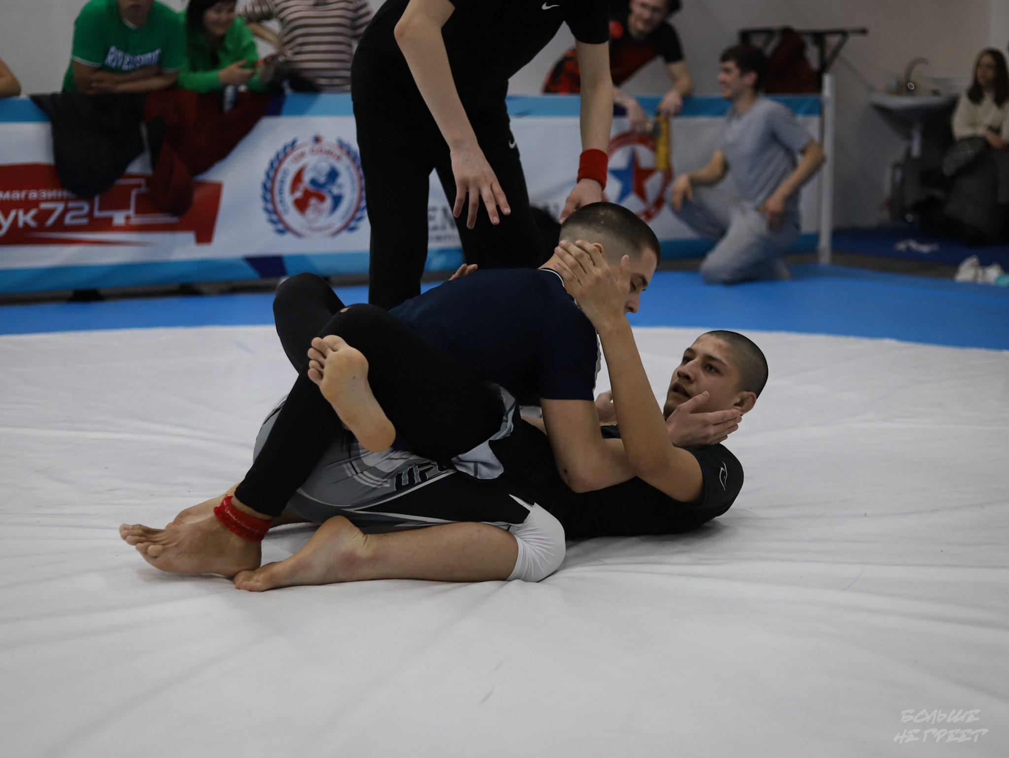 GORILLA PRIDE CUP. Больше не греет