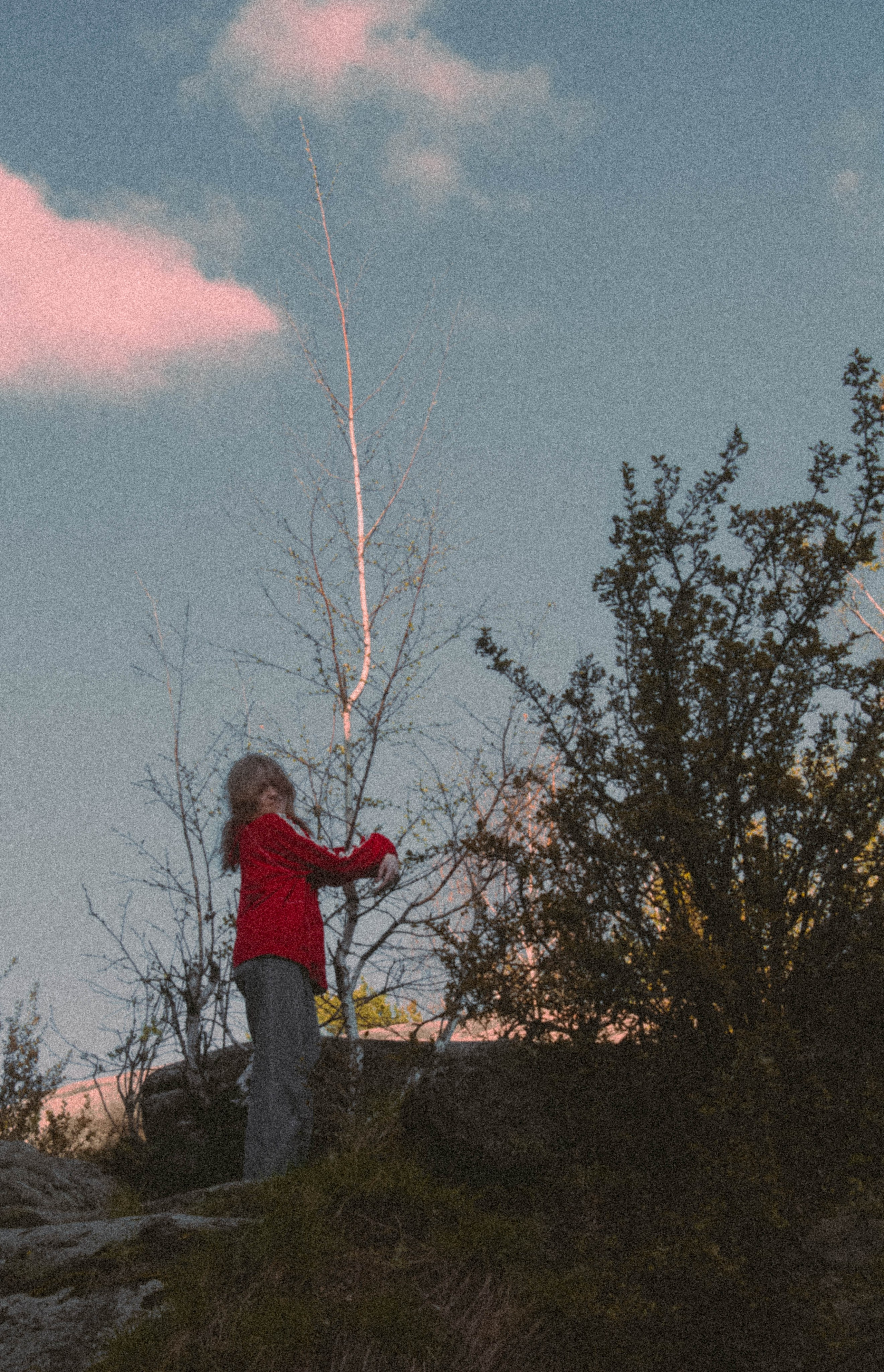 «Без названия»