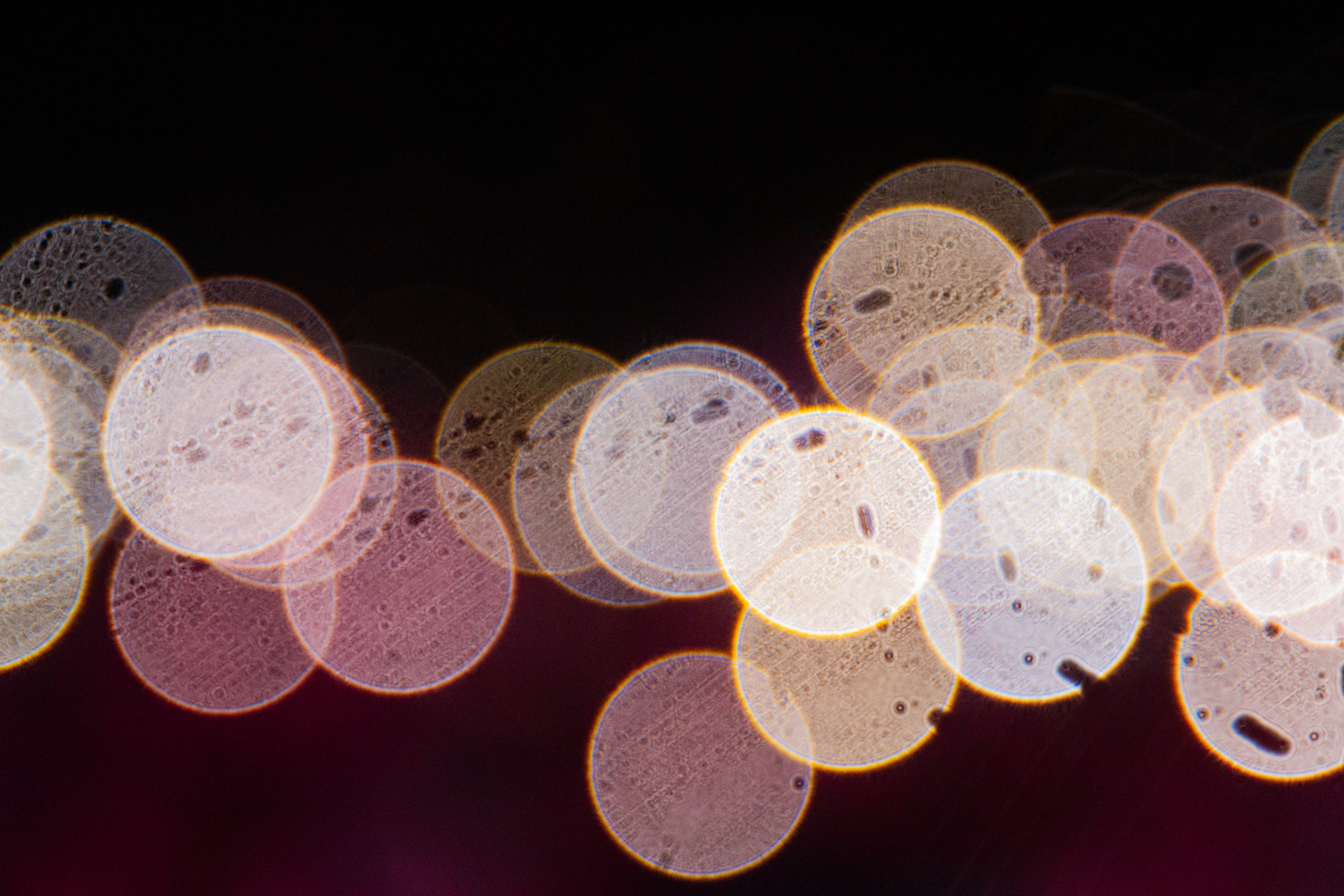 Ural Music Night 2025 х Inclusive Event