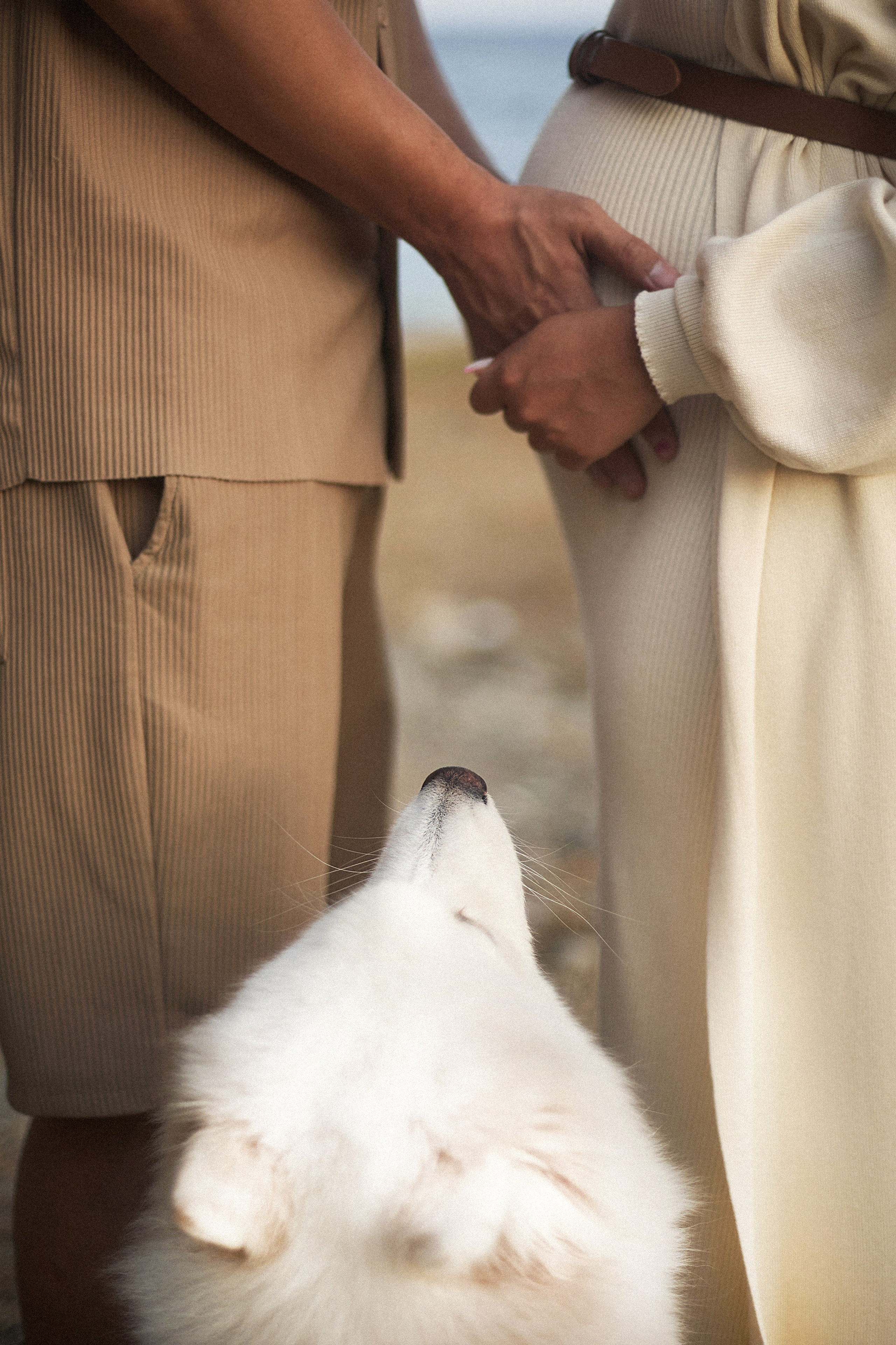 Беременность. Фотограф Елена Дорофеева в Москве и Красногорске